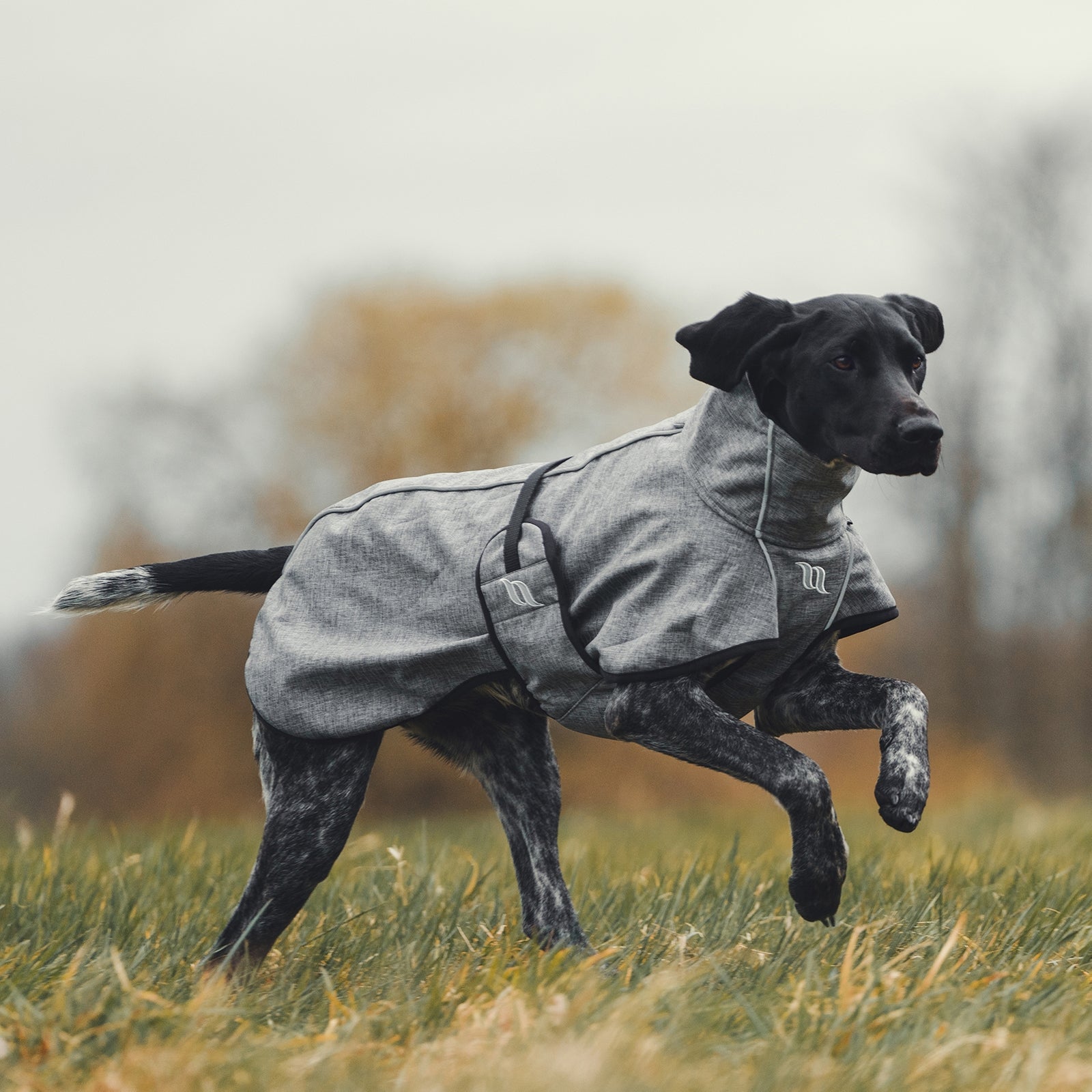 Back on Track Nella All-Round Dog Coat, 25-35cm Dog Accesories