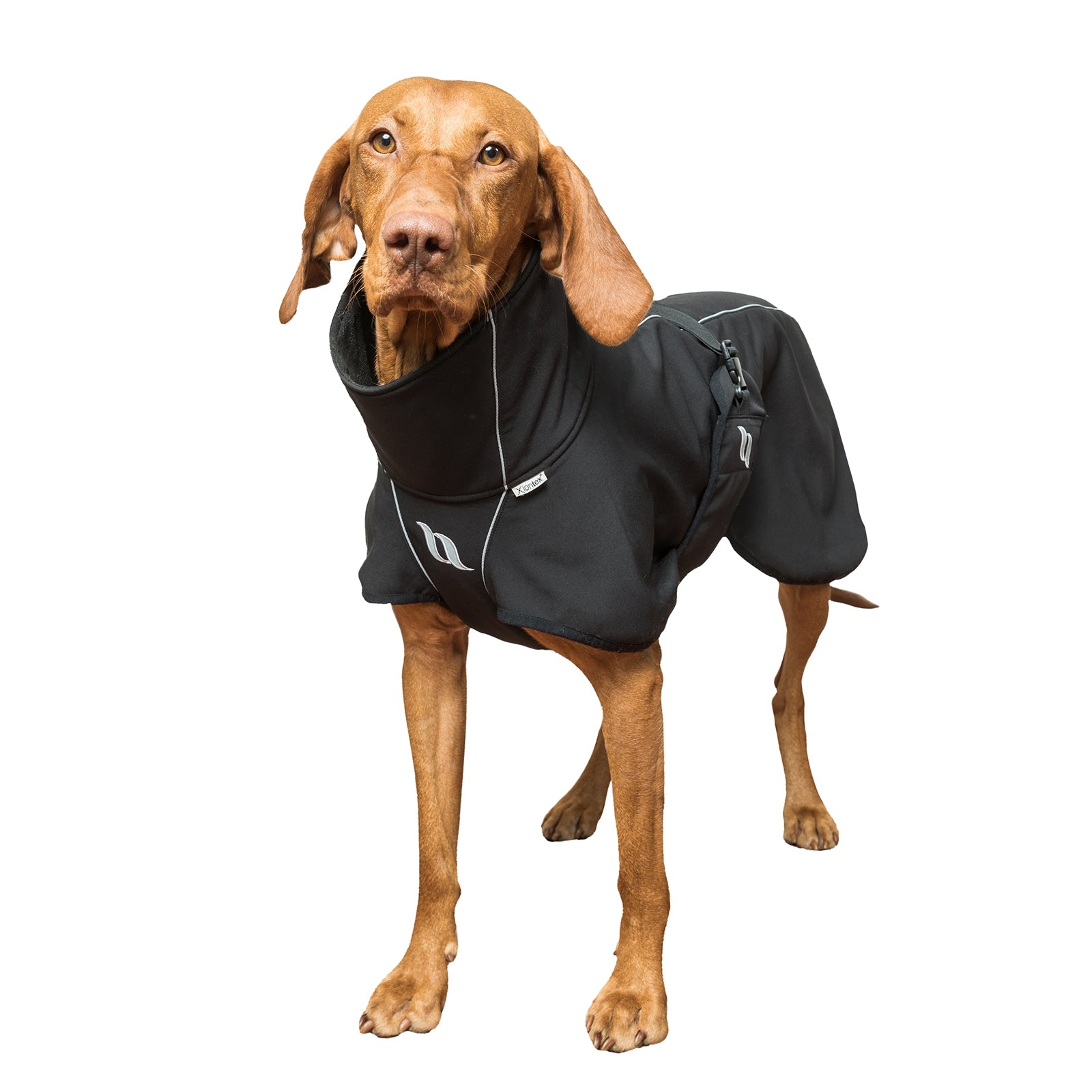Back on Track Nella All-Round Dog Coat, 40-50cm Dog Accesories