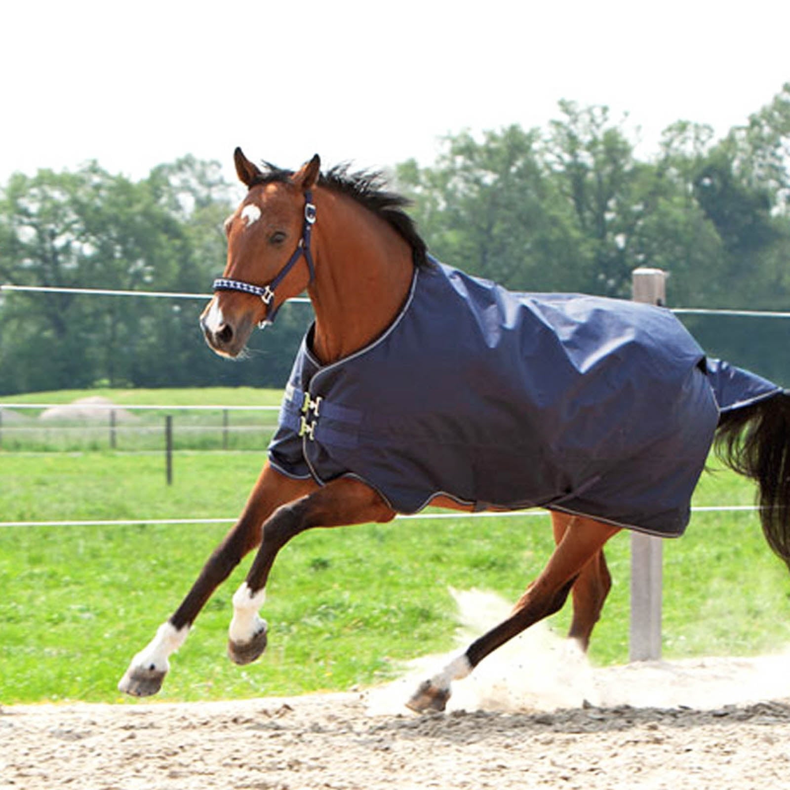 Kavalkade Montreal Turnout Rug, 100g Lótakarók