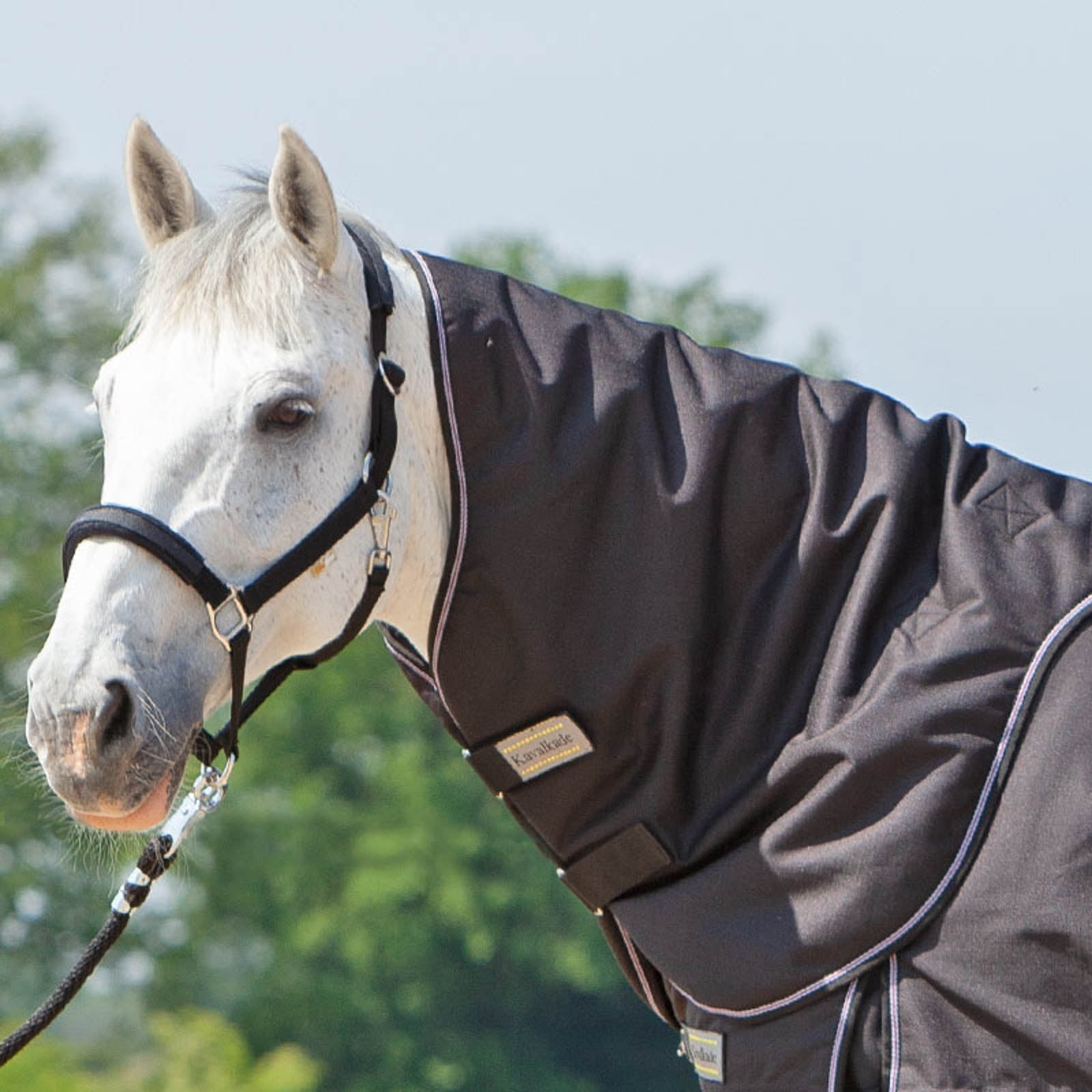 Kavalkade Neck for Alaska IV, 100g Lótakarók