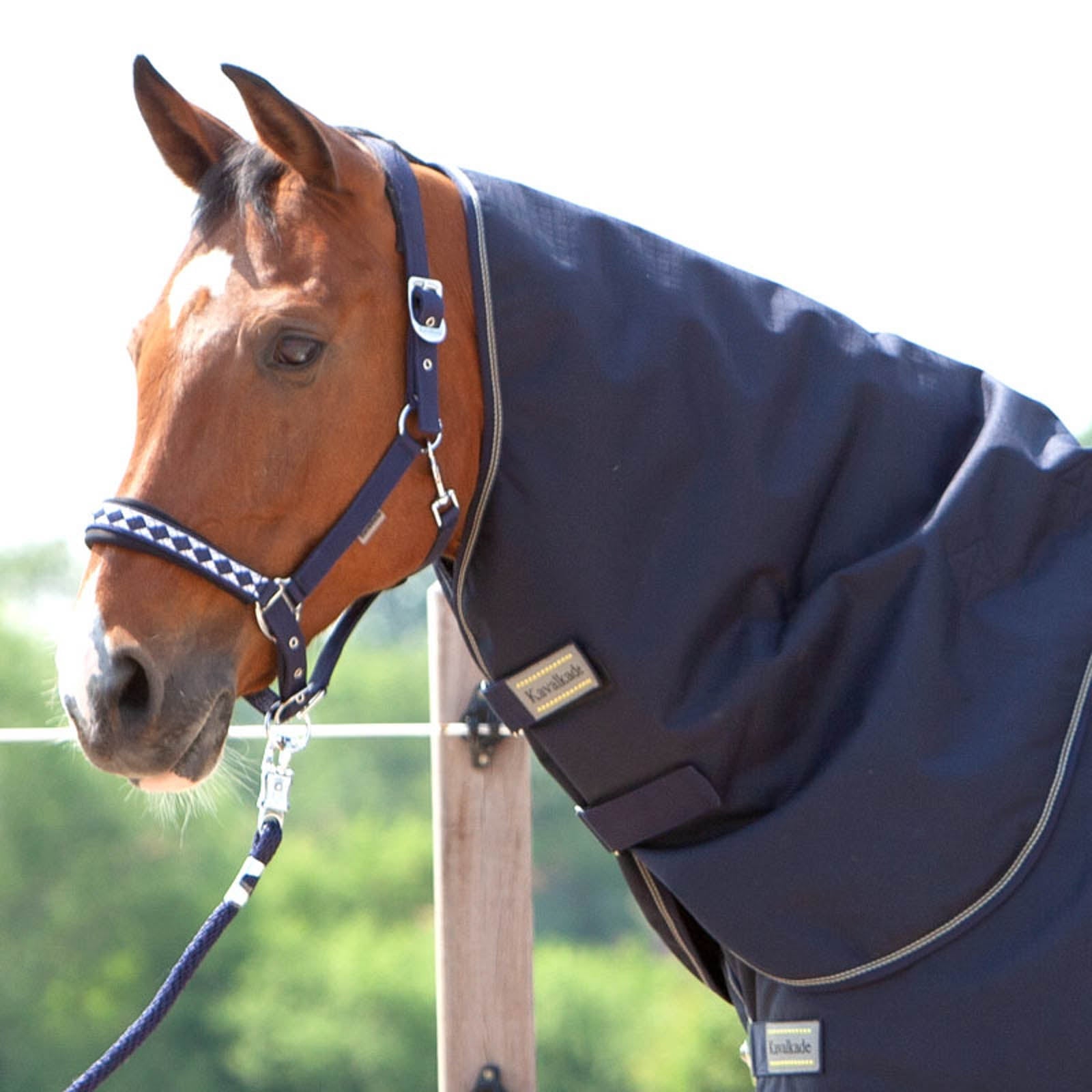 Kavalkade Neck for Montreal Turnout Rug, 100g Lótakarók