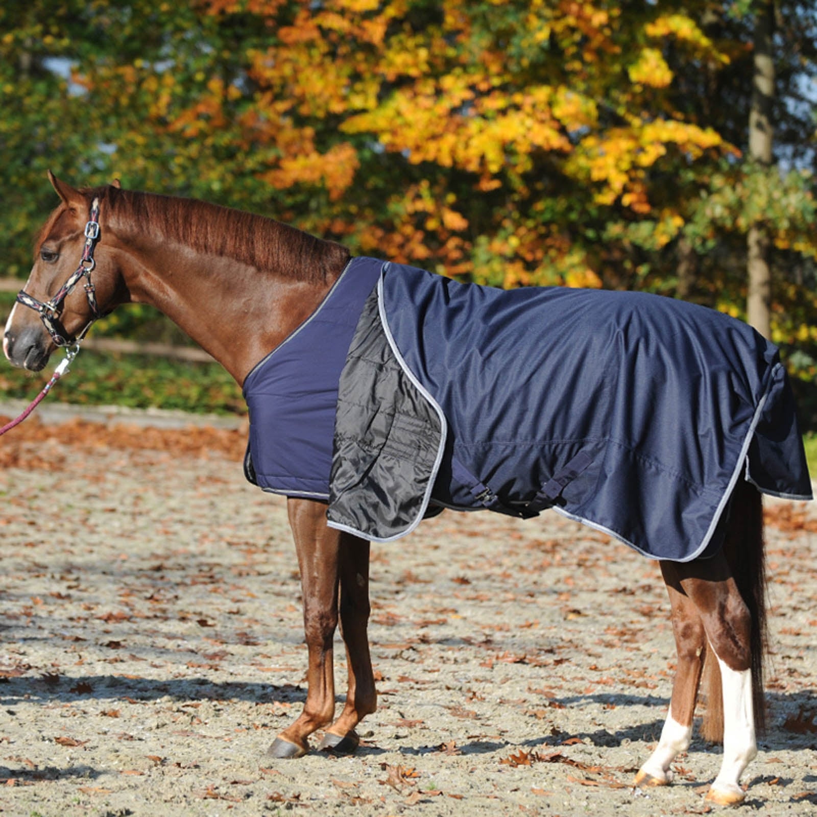 Kavalkade Under Rug 150g Horse Rugs