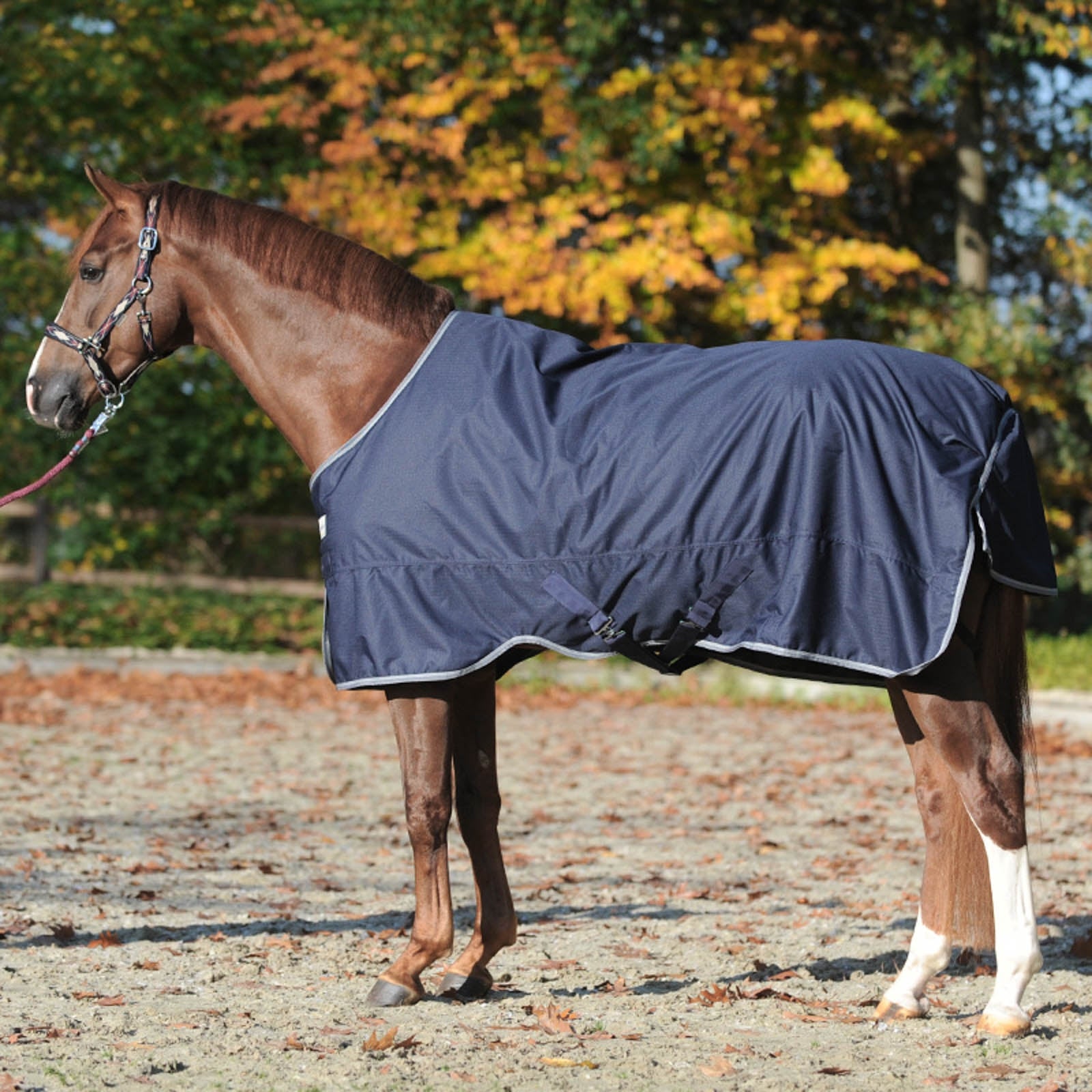 Kavalkade Winnipeg Turnout Rug, 200g Lótakarók