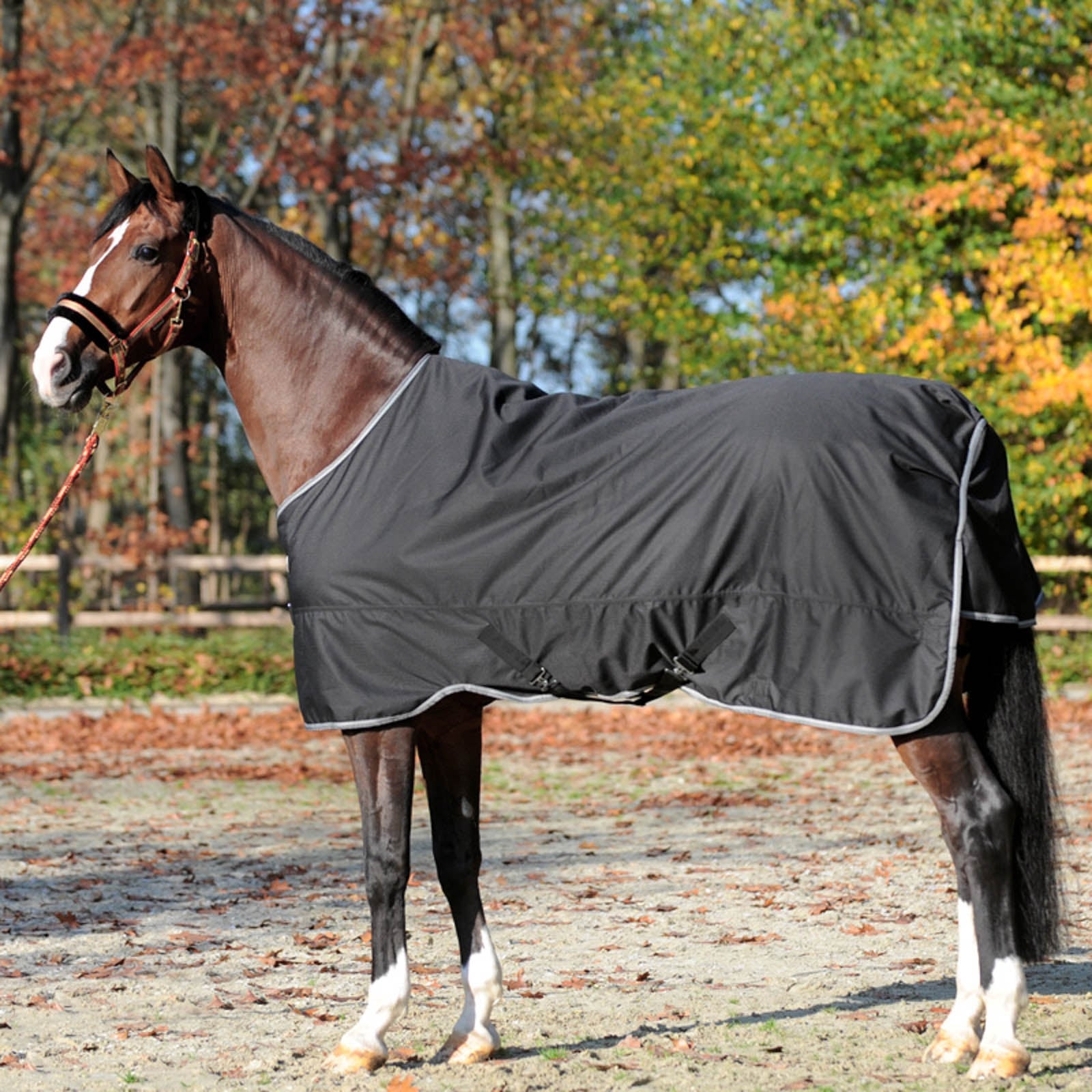 Kavalkade Winnipeg Turnout Rug, 50g Lótakarók