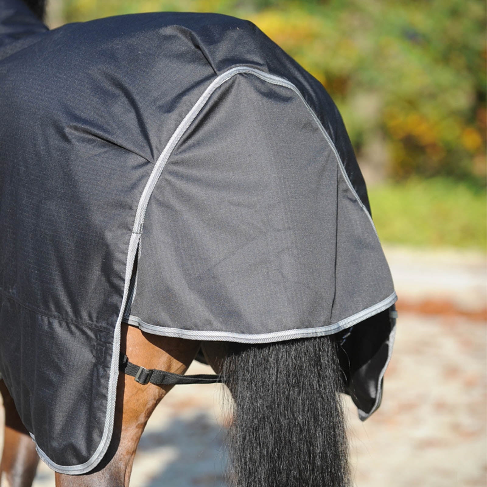 Kavalkade Winnipeg Turnout Rug, 50g Horse Rugs