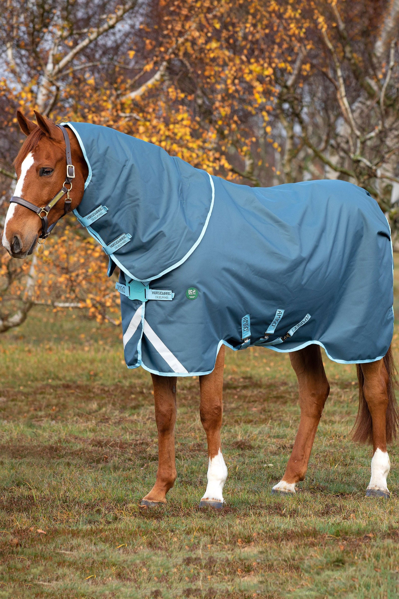 Horseware Amigo AmEco 12 Plus incl. Levehető kapucni, 250g Lótakarók