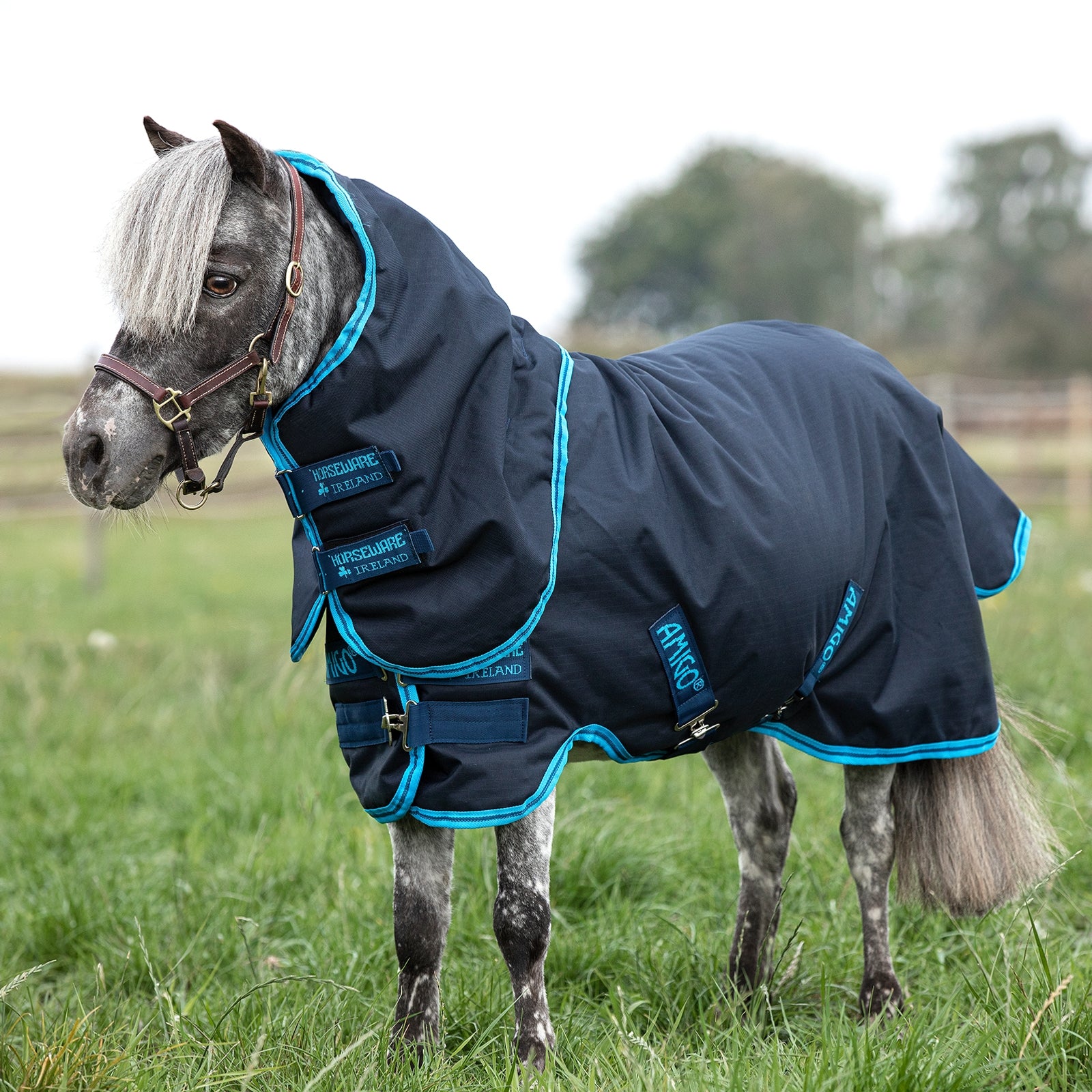 Horseware Amigo Hero 6 Petite Plus részvételi arány Levehető kapucni, 200g Lótakarók