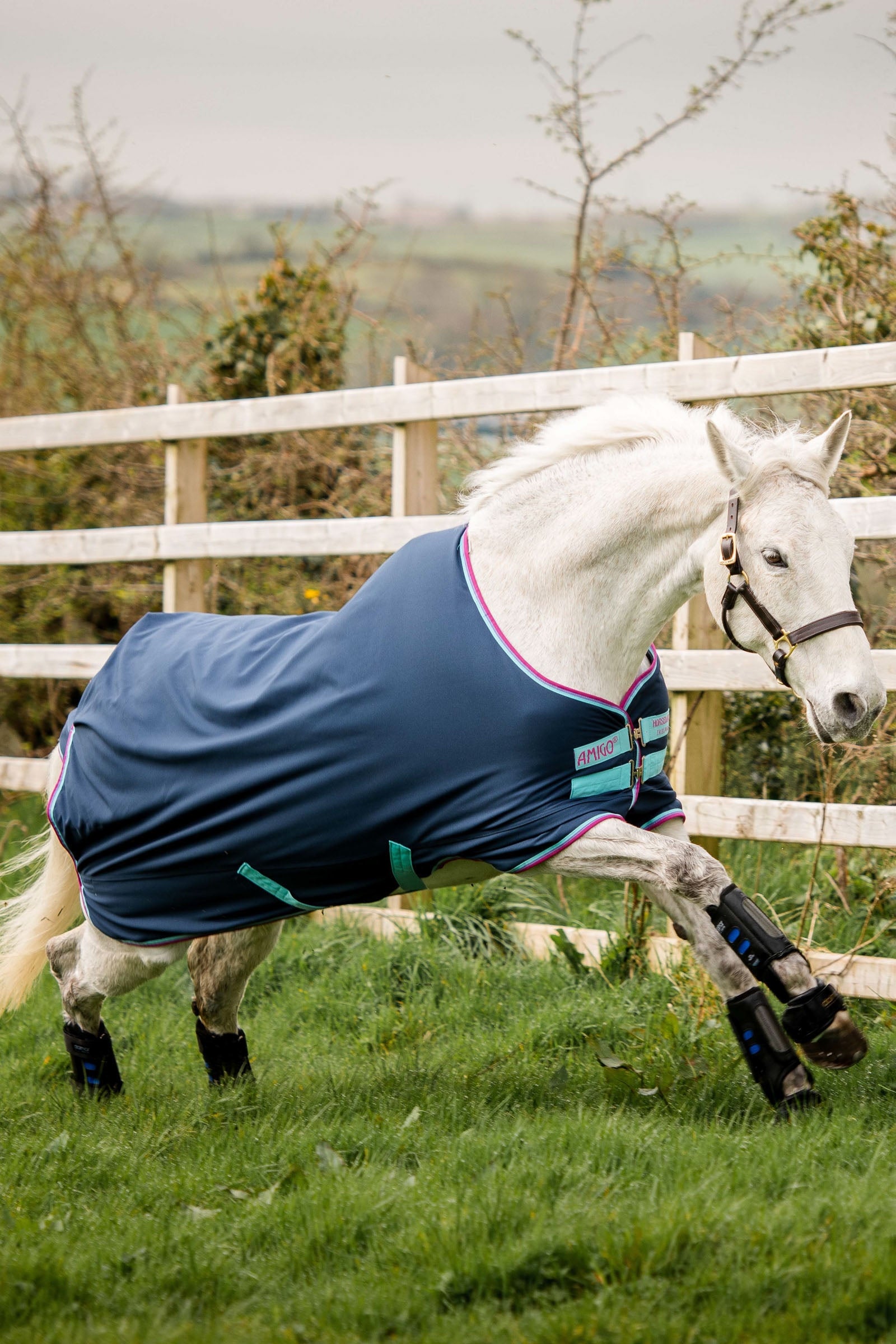 Horseware Amigo Hero 900 Pony Turnout, 200g Lótakarók