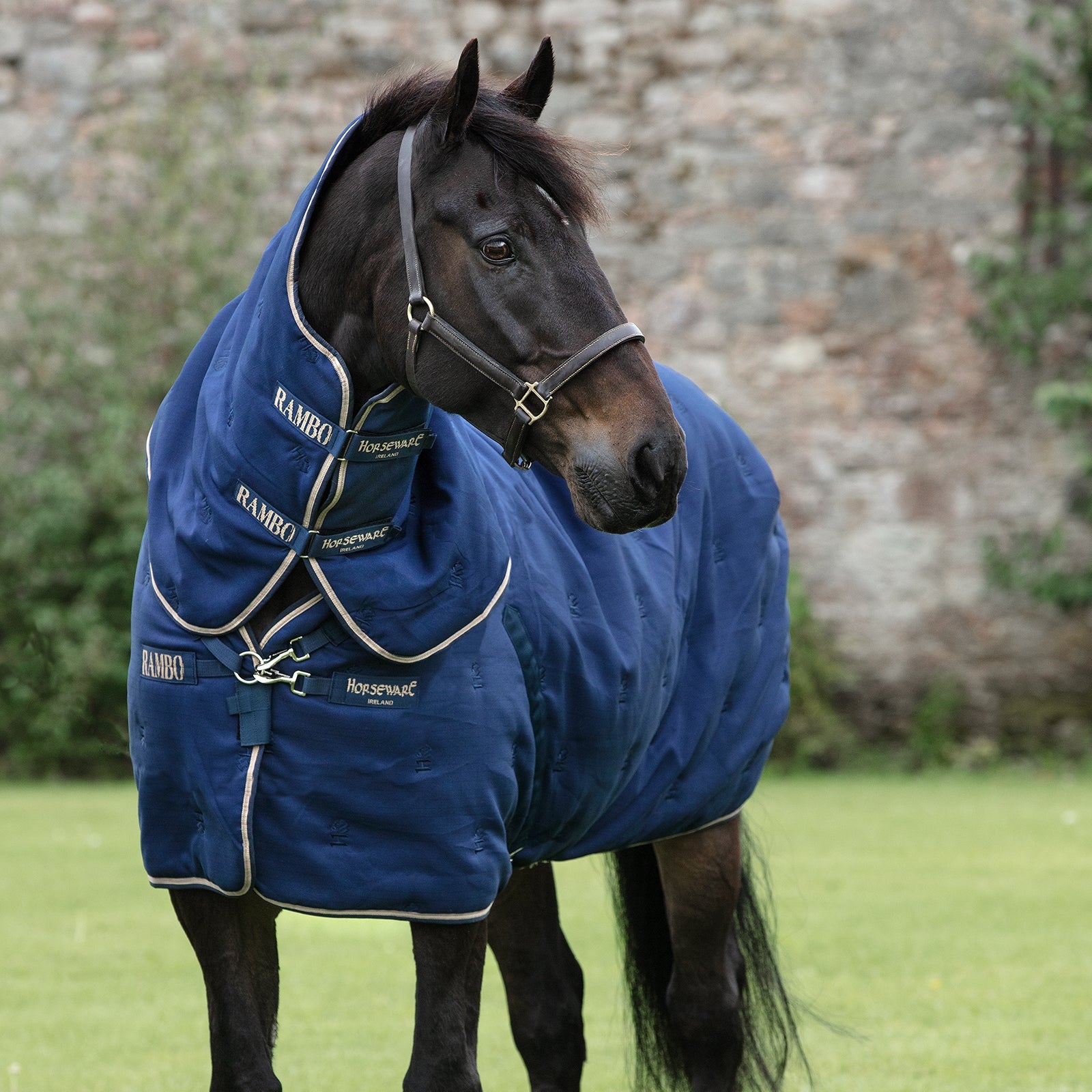 Horseware Rambo Deluxe Stable Plus incl. Detachable Hood, 200g Lótakarók