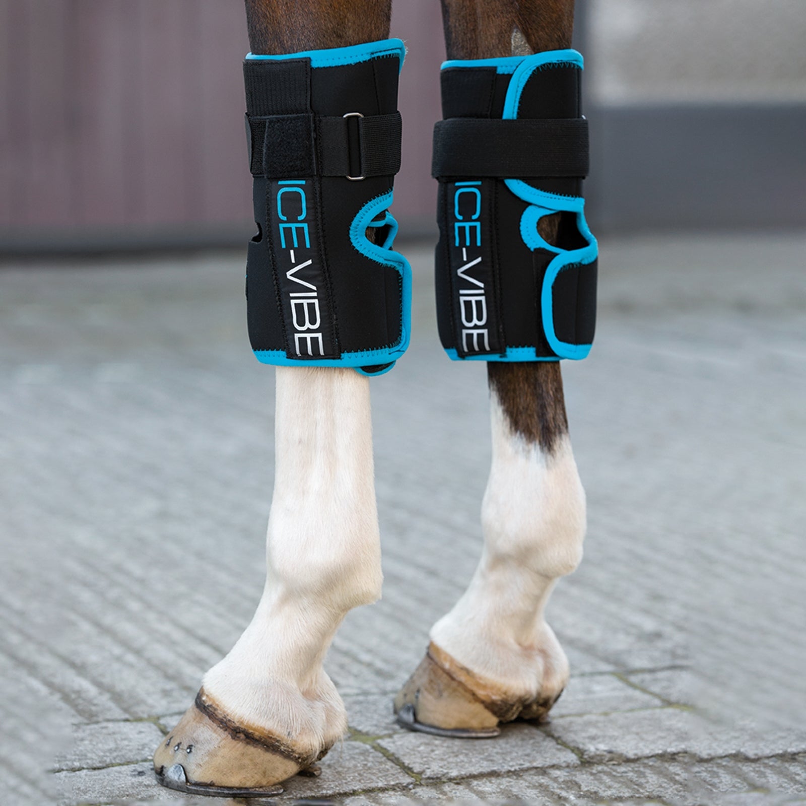 Horseware Ice-Vibe térdpakolás Külso- és Belsoleges Ápolás