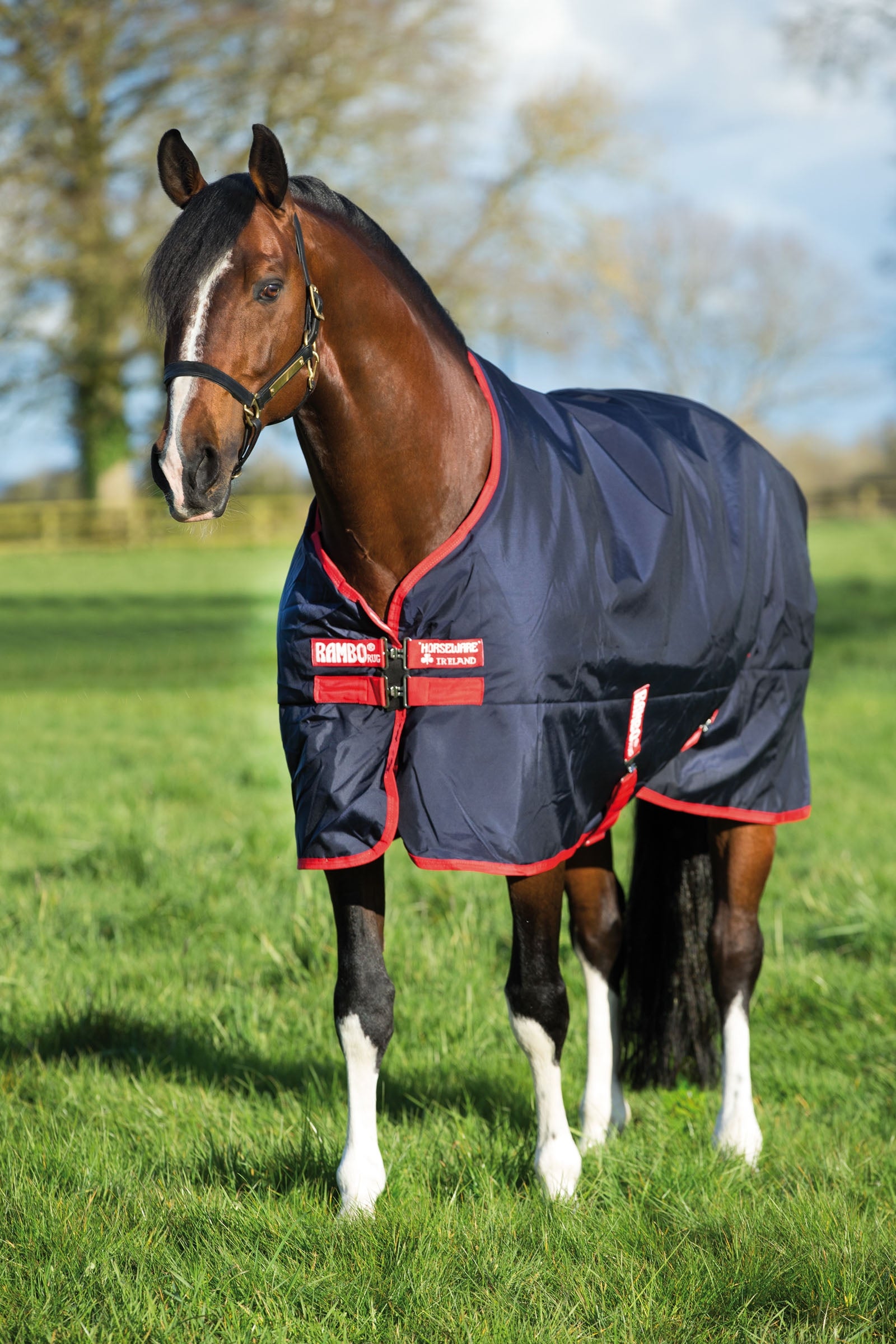 Horseware Rambo Original Turnout, 200g Horse Rugs