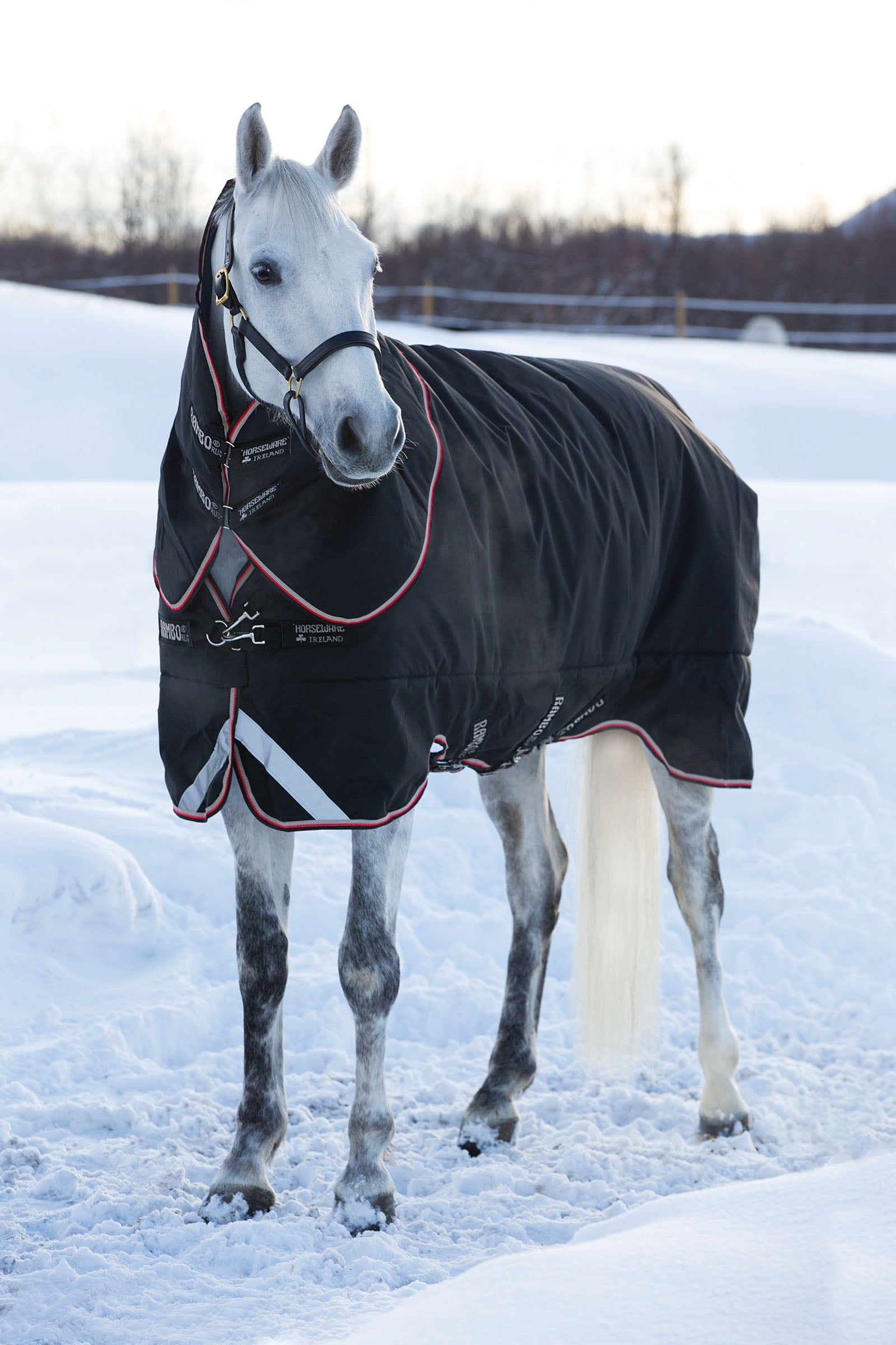 Horseware Rambo Supreme Turnout incl. Levehető kapucni, 420g Lótakarók