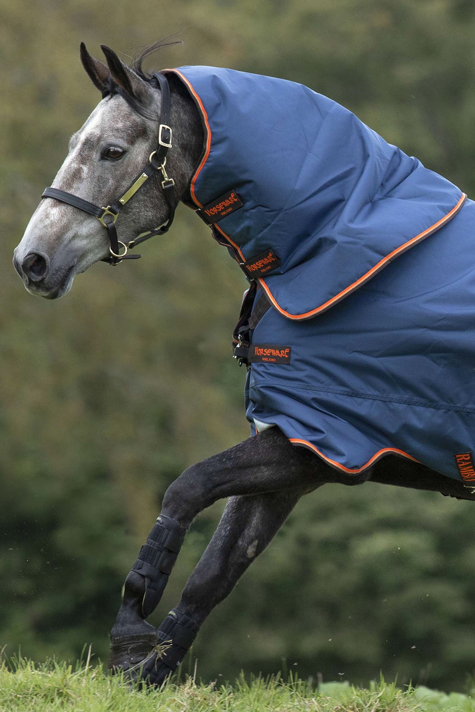 Horseware Rambo Duo kapucnis, 50g Lótakarók