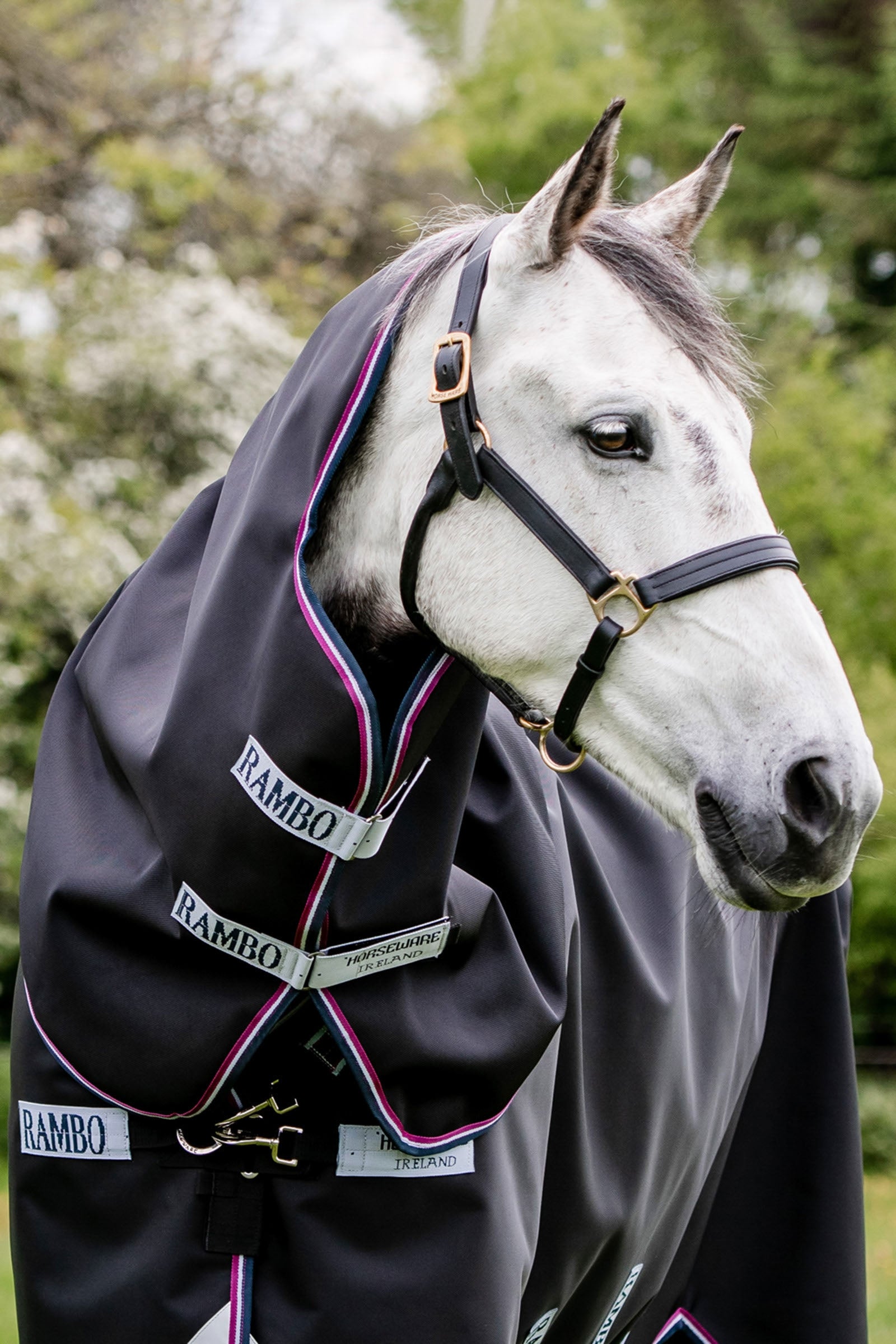 Horseware Rambo Supreme Hood, 0g Lótakarók