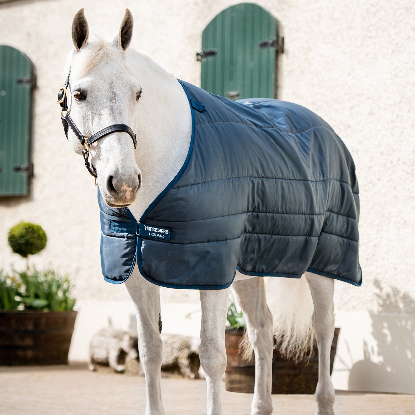 Horseware XL Horseware Liner, 200g Lótakarók