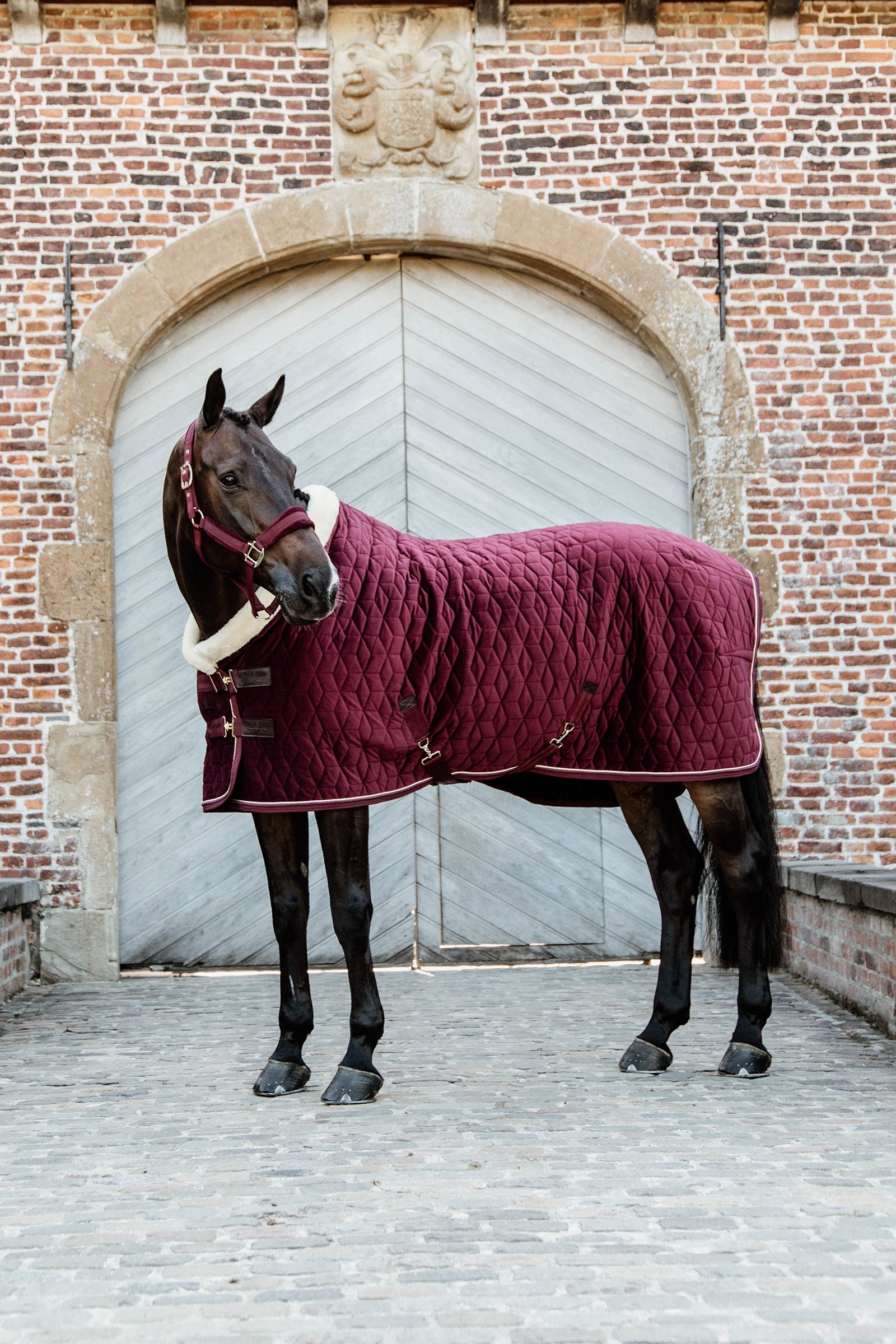Kentucky Horsewear Velvet Show Rug, 160g Horse Rugs