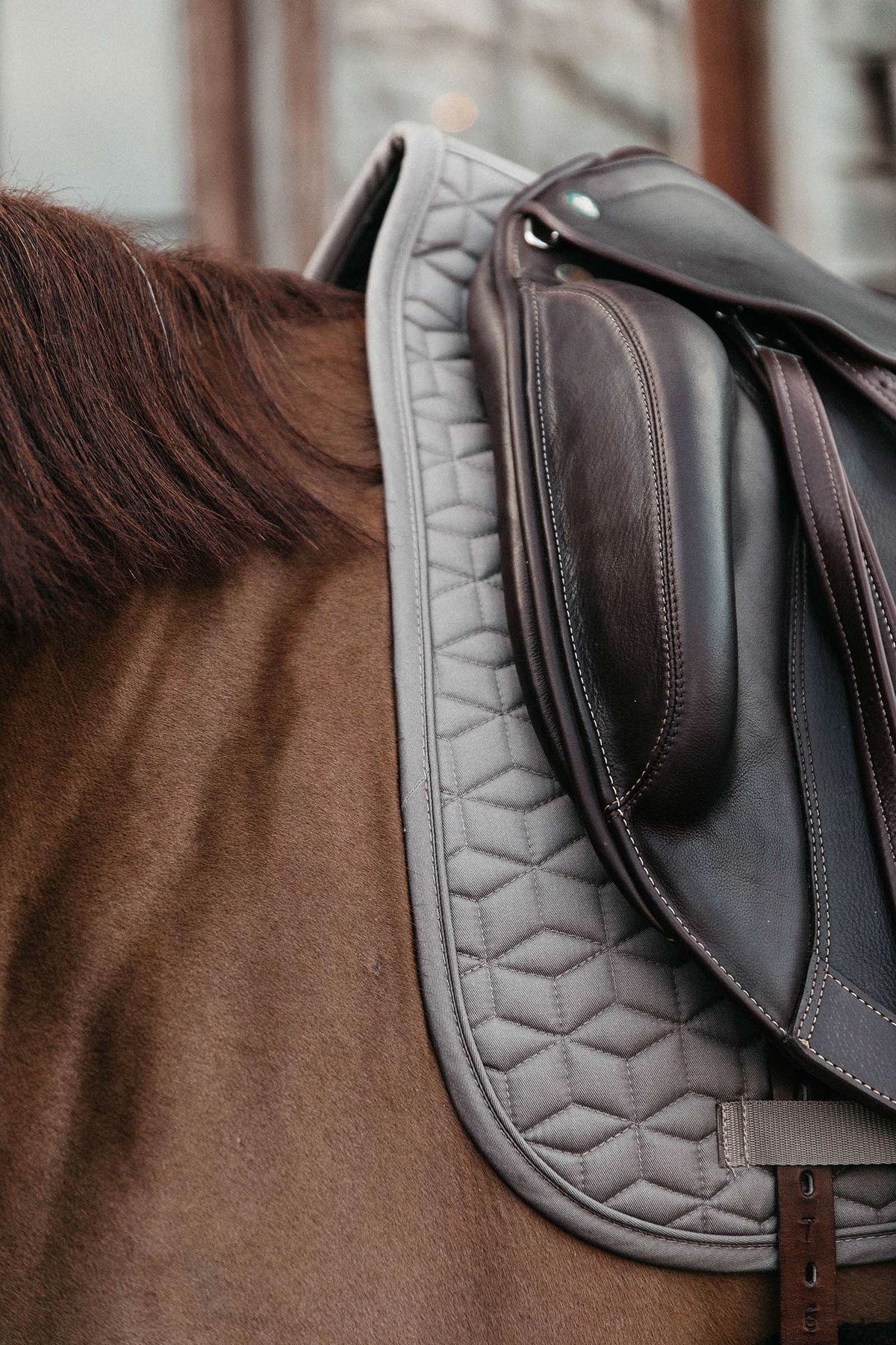 Kentucky Horsewear Basic Dressage Saddle Pad Saddle Pads