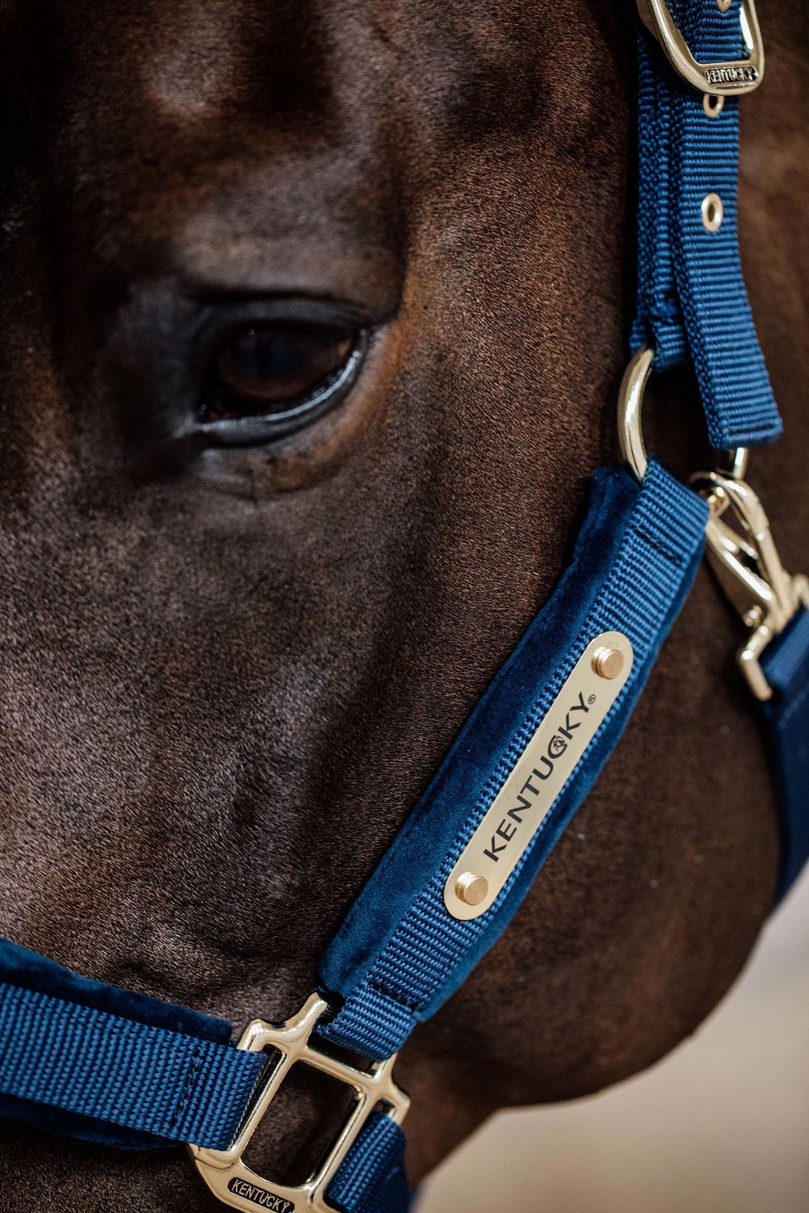 Kentucky Horsewear Velvet Halter Halters & Leads