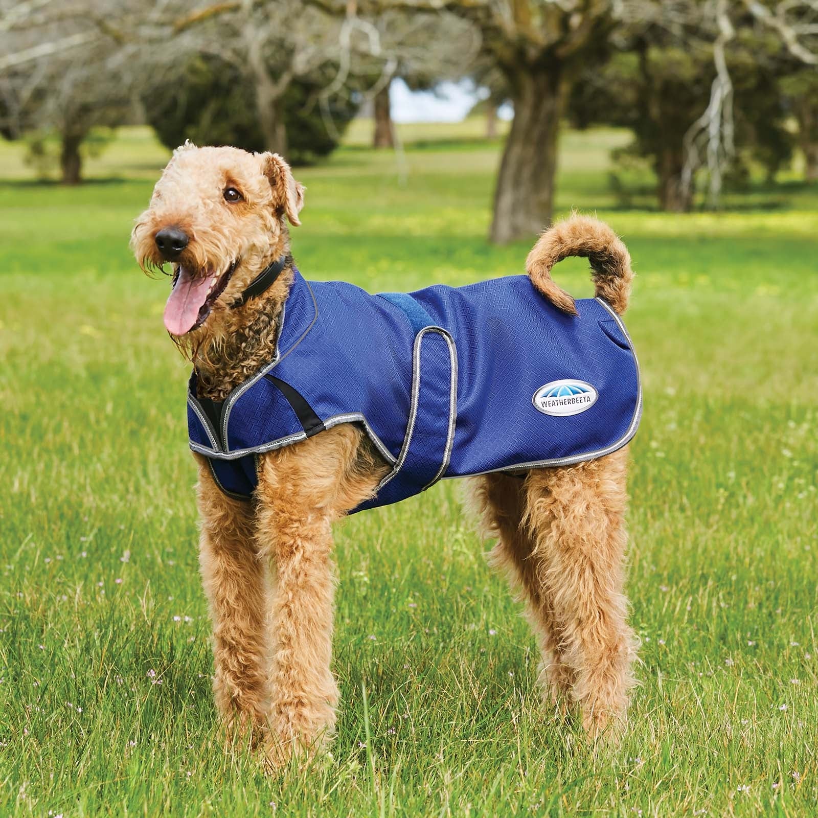Weatherbeeta Comfitec Premier Free Parka Deluxe Dog Coat, 220g Dog Accesories