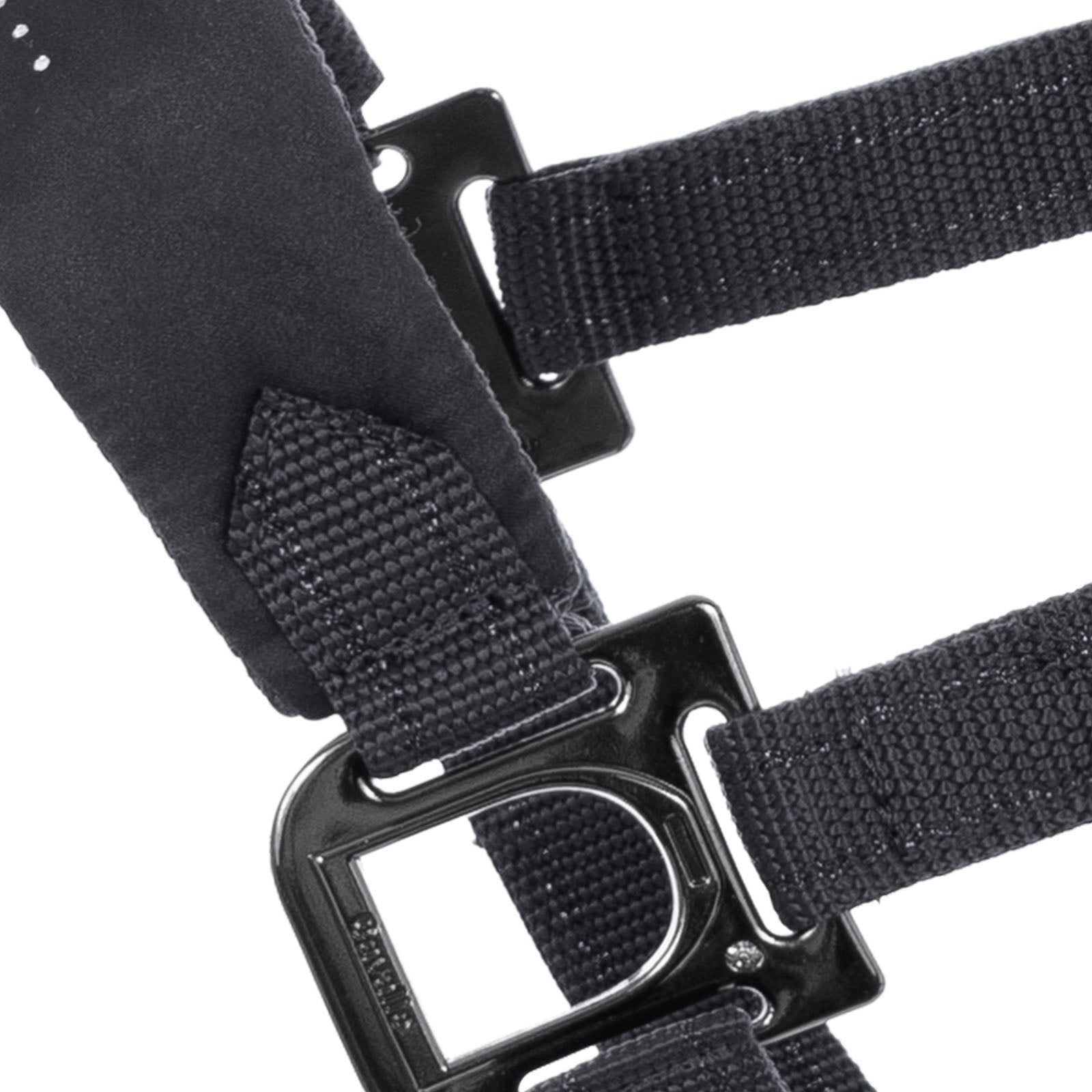 Cavallo CAVALHALLONA Halter Halters & Leads