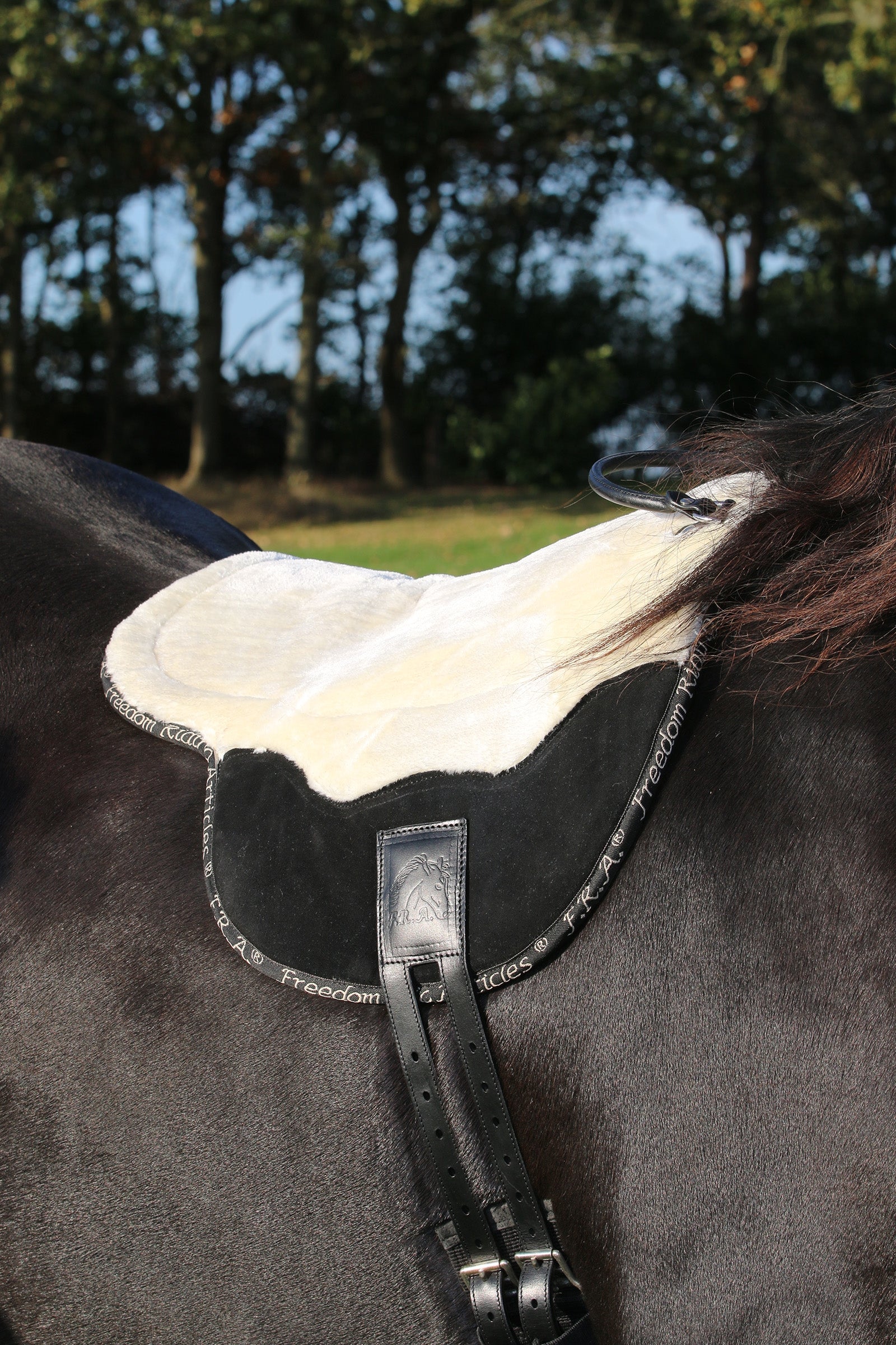 F.R.A. Freedom Riding Articles Free Bareback Pad, Cob Saddles, Girths & Stirrups