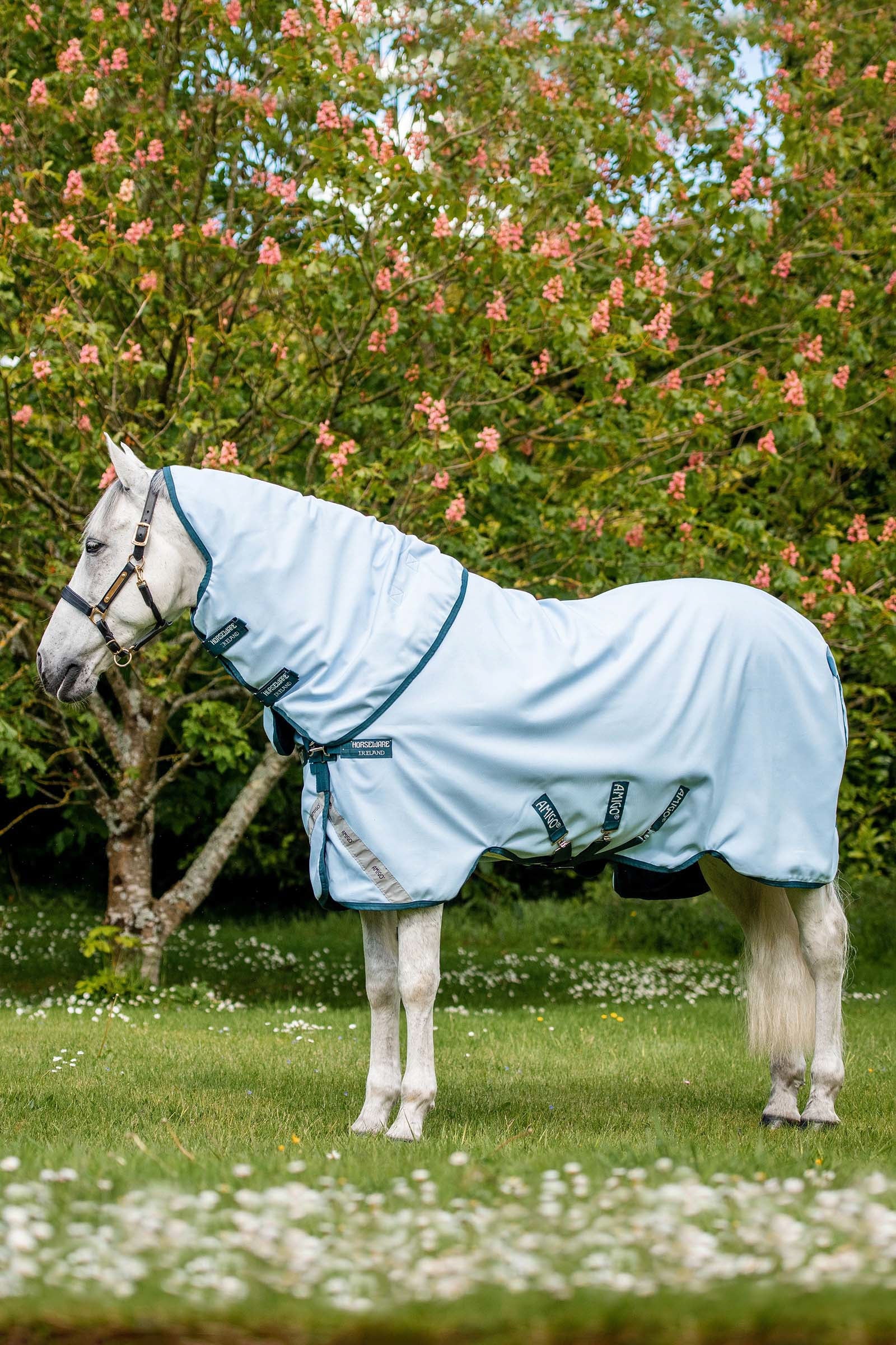Horseware Amigo Növényi Festésű Kültéri Takaró, 50g Lótakarók