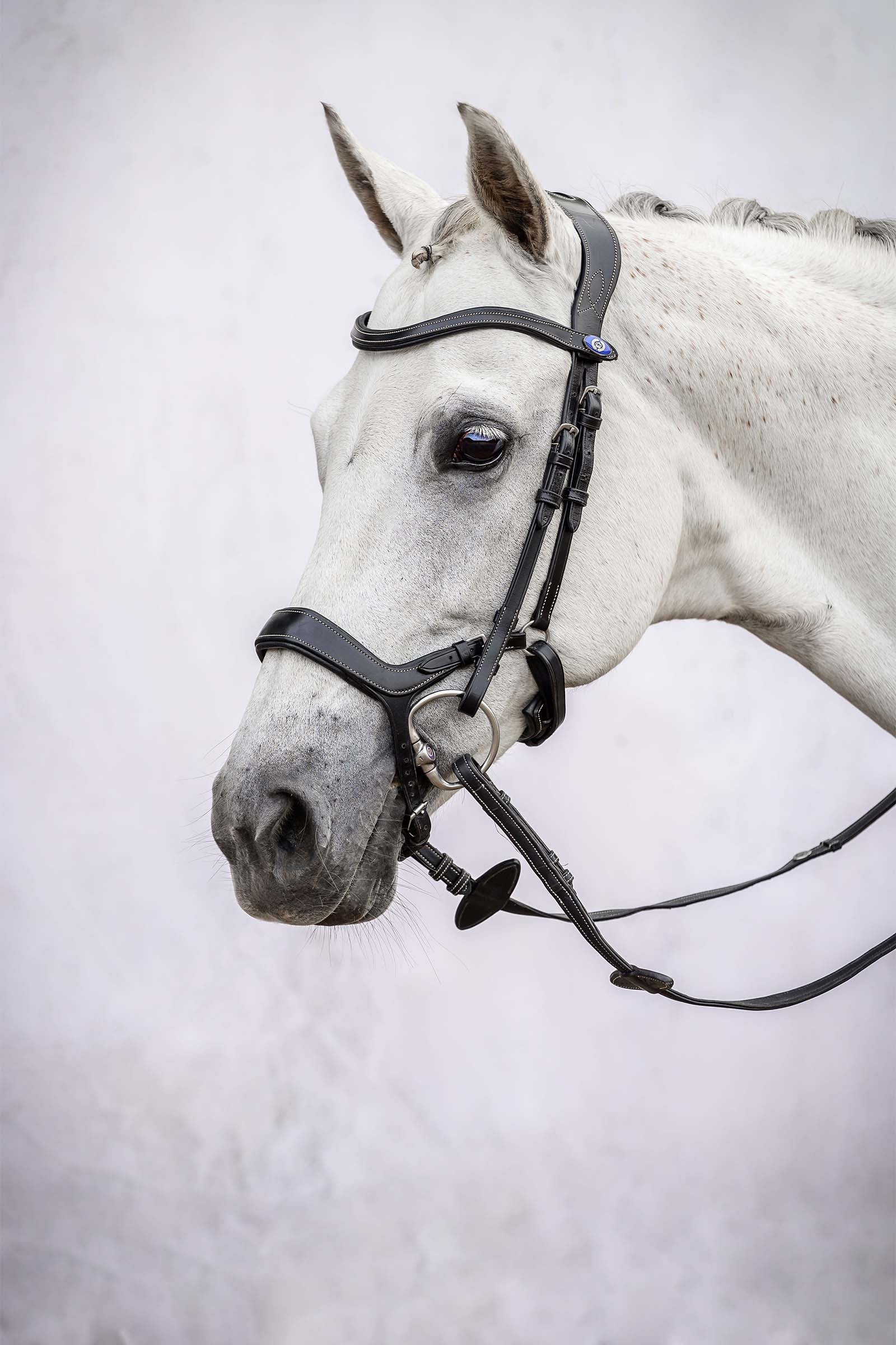 PS of Sweden Pioneer Bridle Bridles & Reins