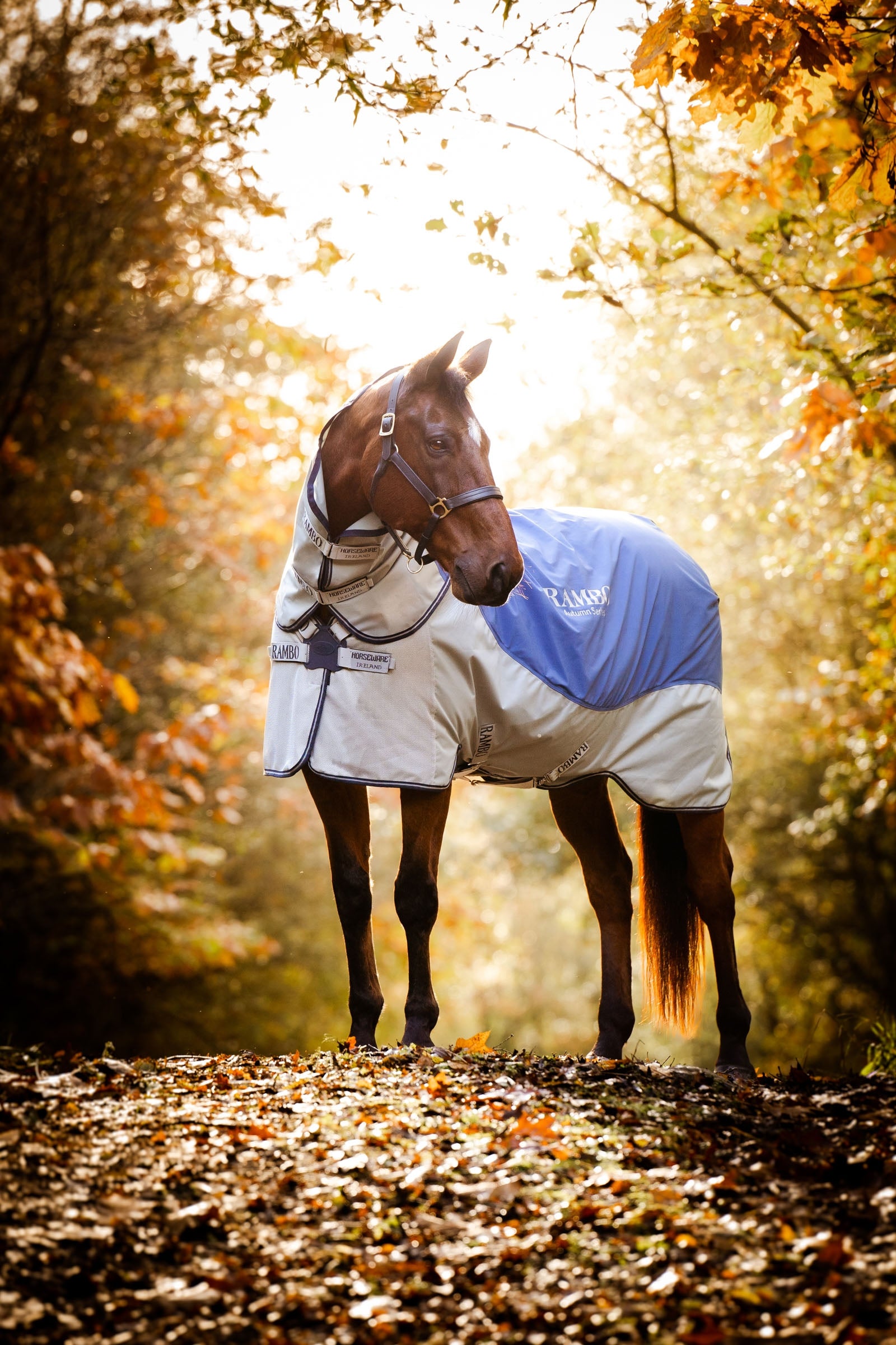 Horseware Rambo Autumn Series kültéri takaró alátakaróval (0 g / 100 g) Lótakarók