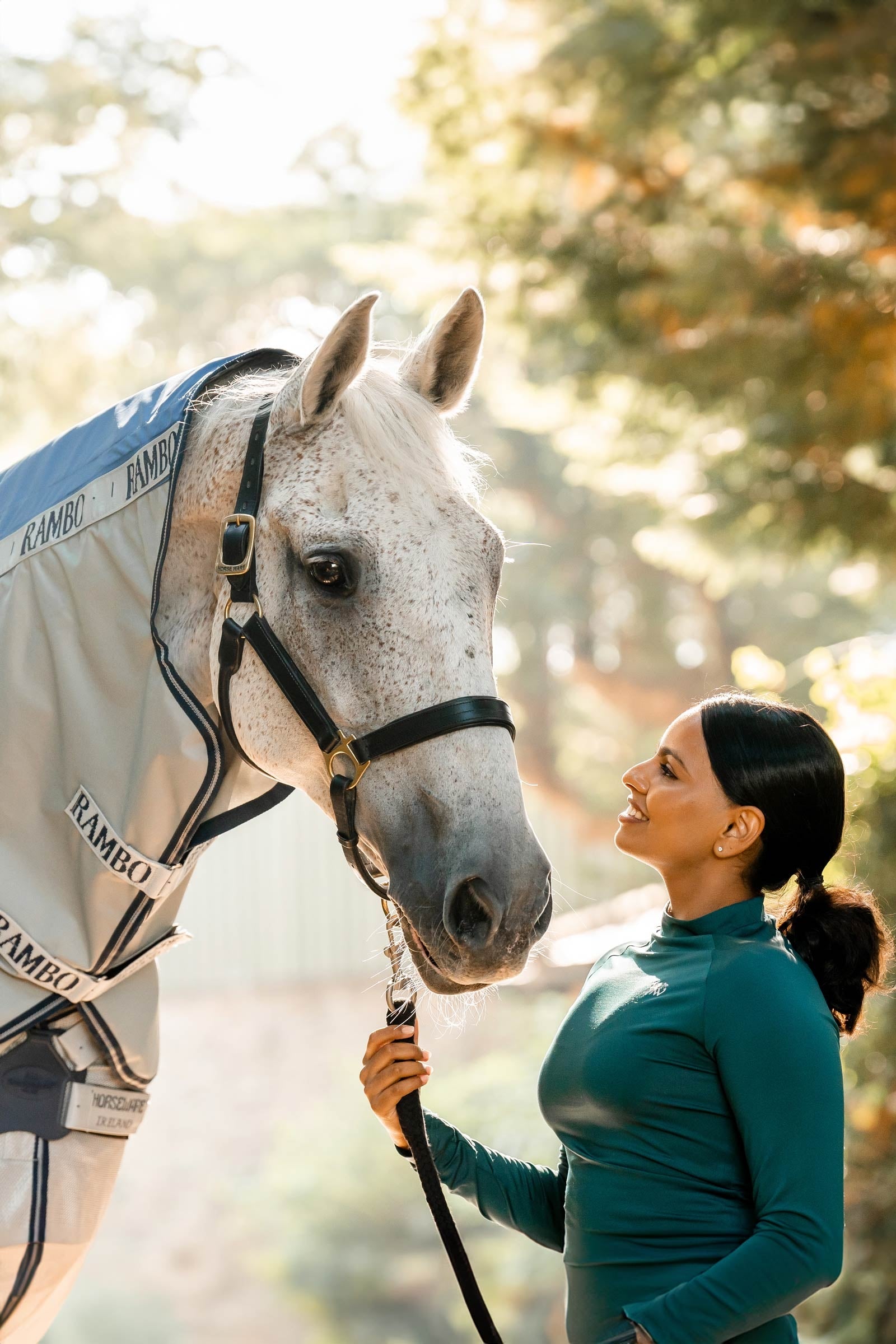 Horseware Rambo Autumn Series Turnout Rug With Liner (0g / 100g) Horse Rugs