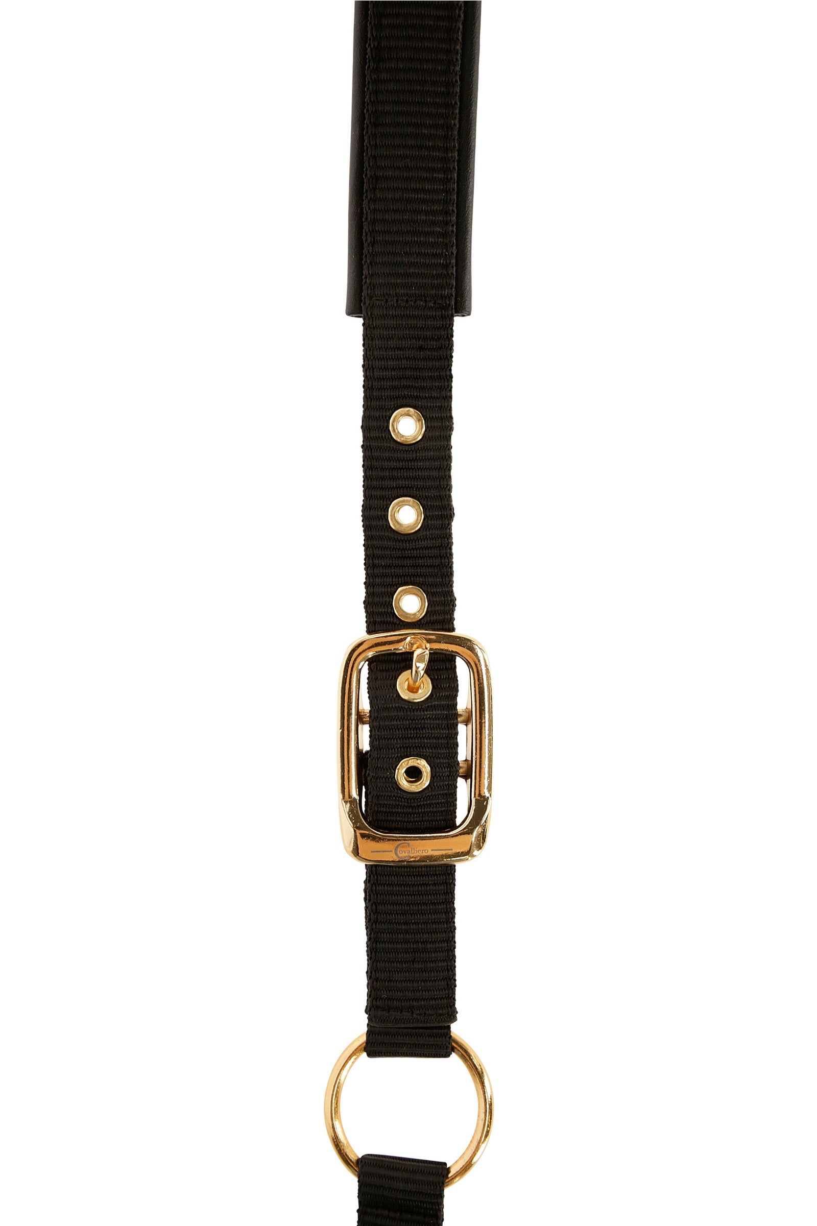Covalliero TopLine Halter Halters & Leads
