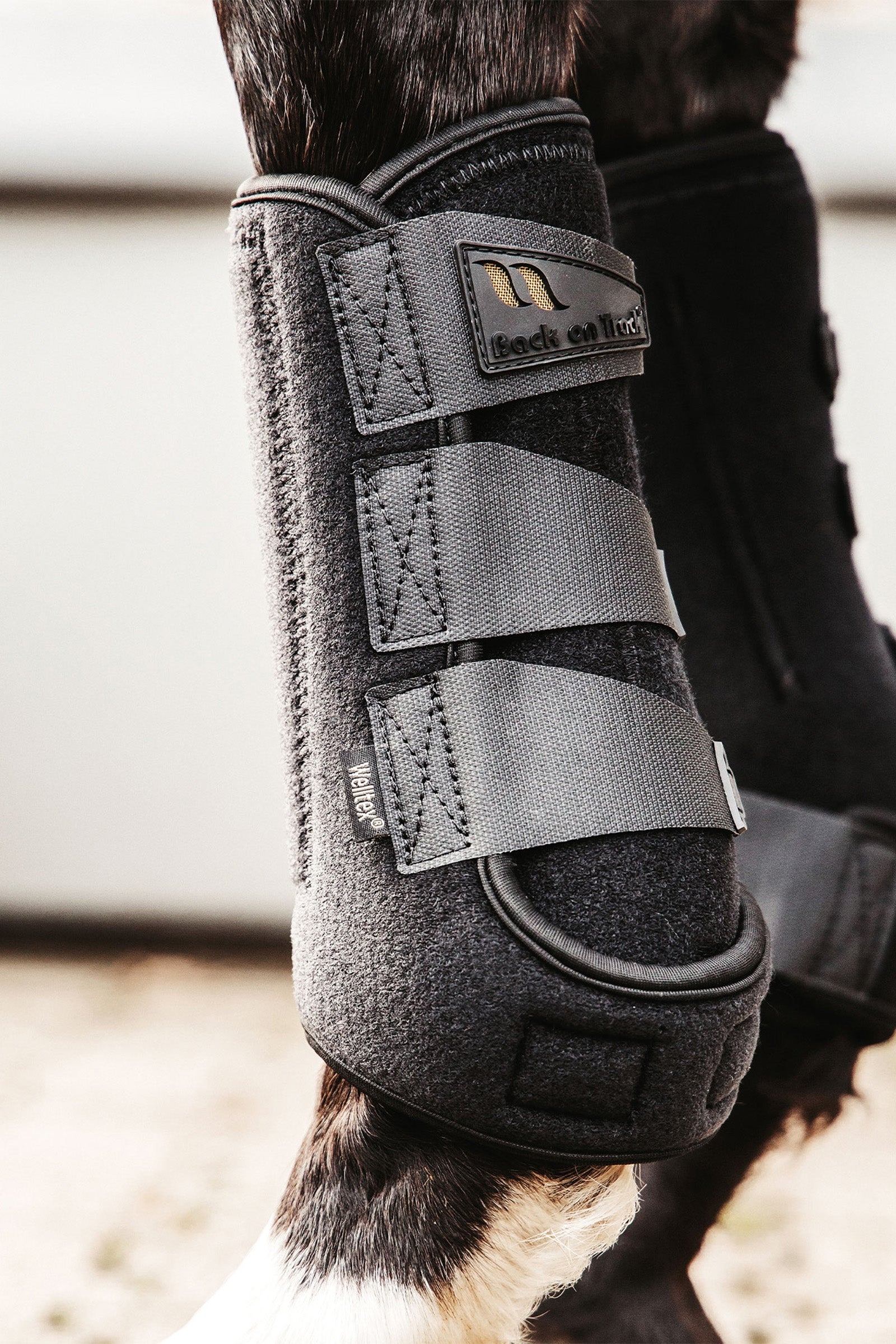 undefined Back on Track Airflow Exercise Boots Leg Protection & Hoof Protection for Horses