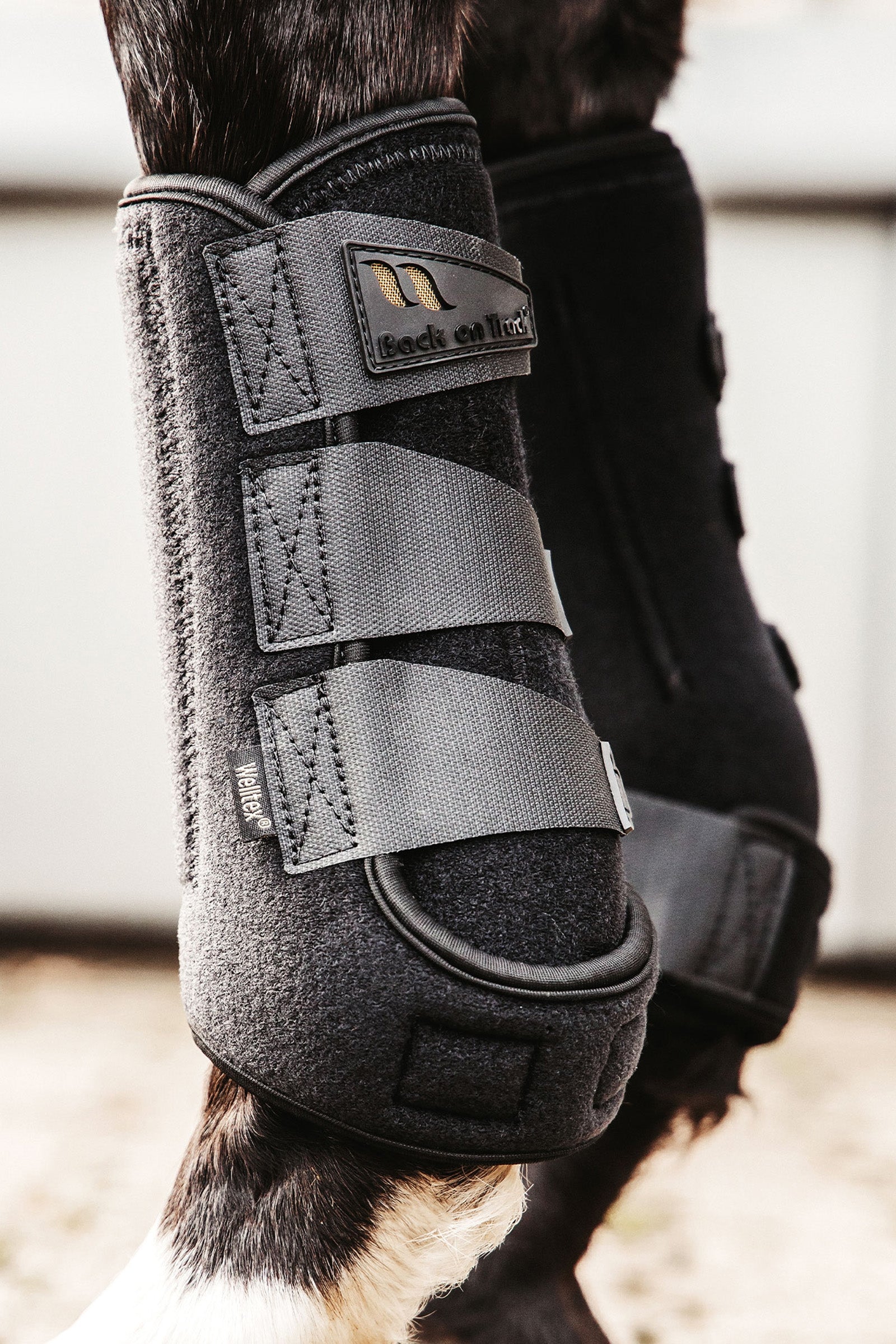 undefined Back on Track Airflow Exercise Boots Leg Protection & Hoof Protection for Horses