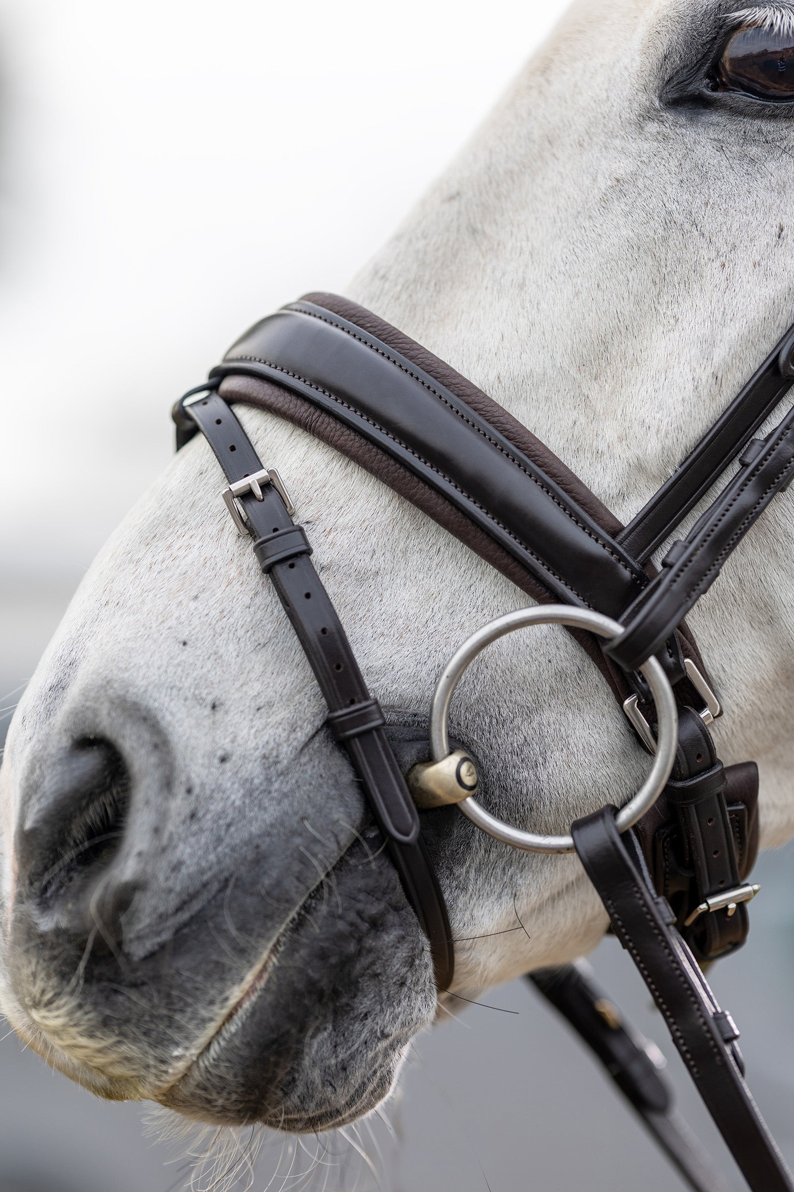 LeMieux Kudos Classic Dressage Bridle Bridles & Reins