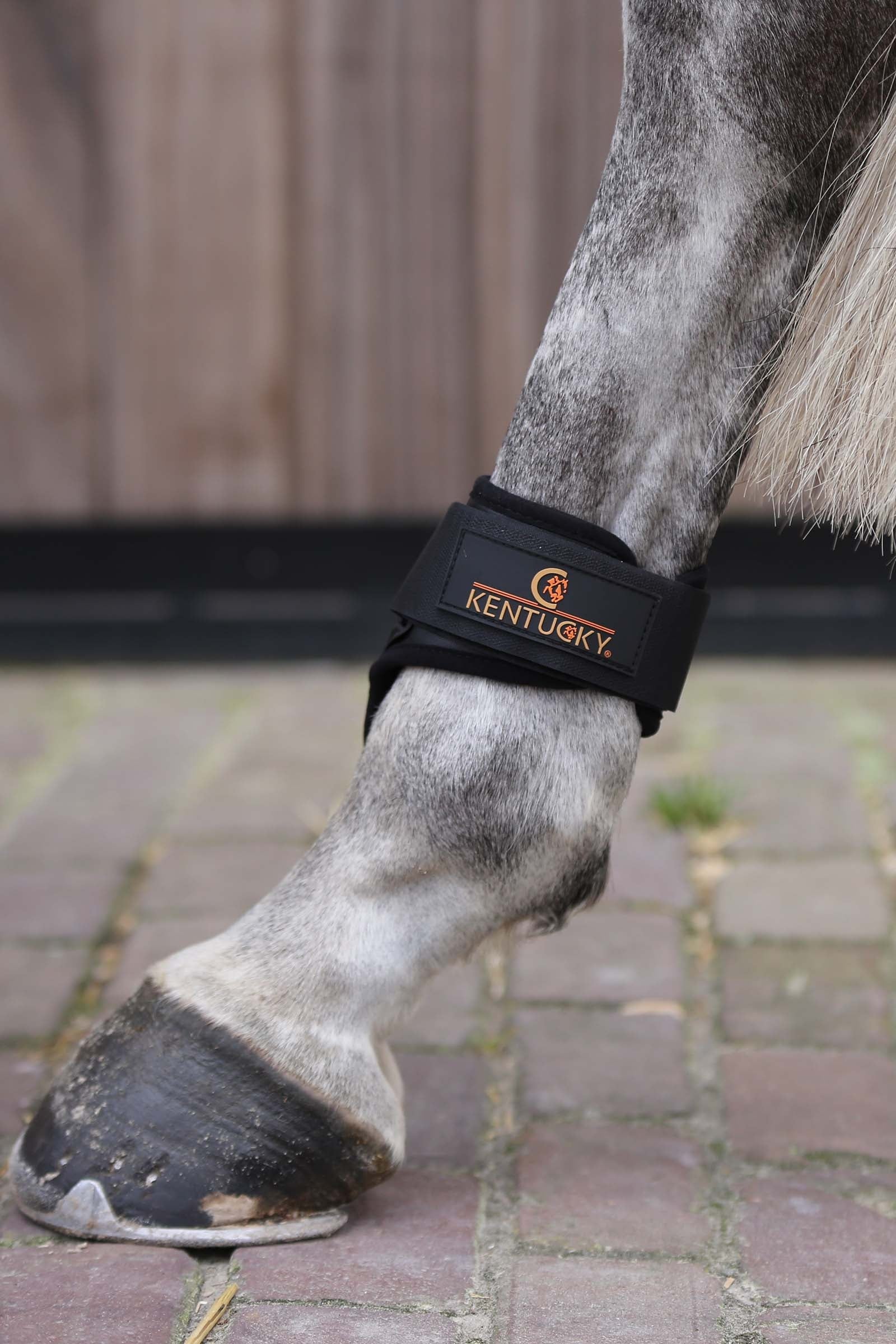 Kentucky Horsewear Young Horse Fetlock Boots Leg & Hoof Protection
