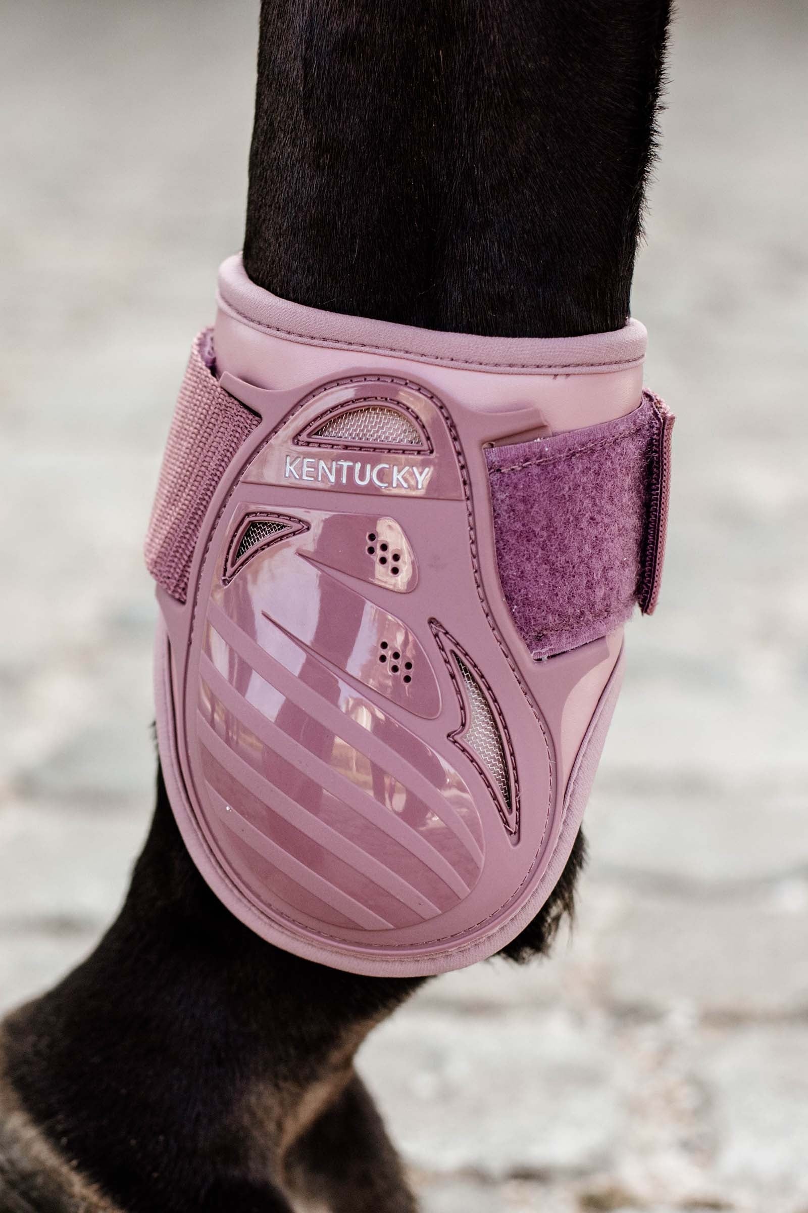 Kentucky Horsewear Young Horse Fetlock Boots Leg Protection & Hoof Protection for Horses