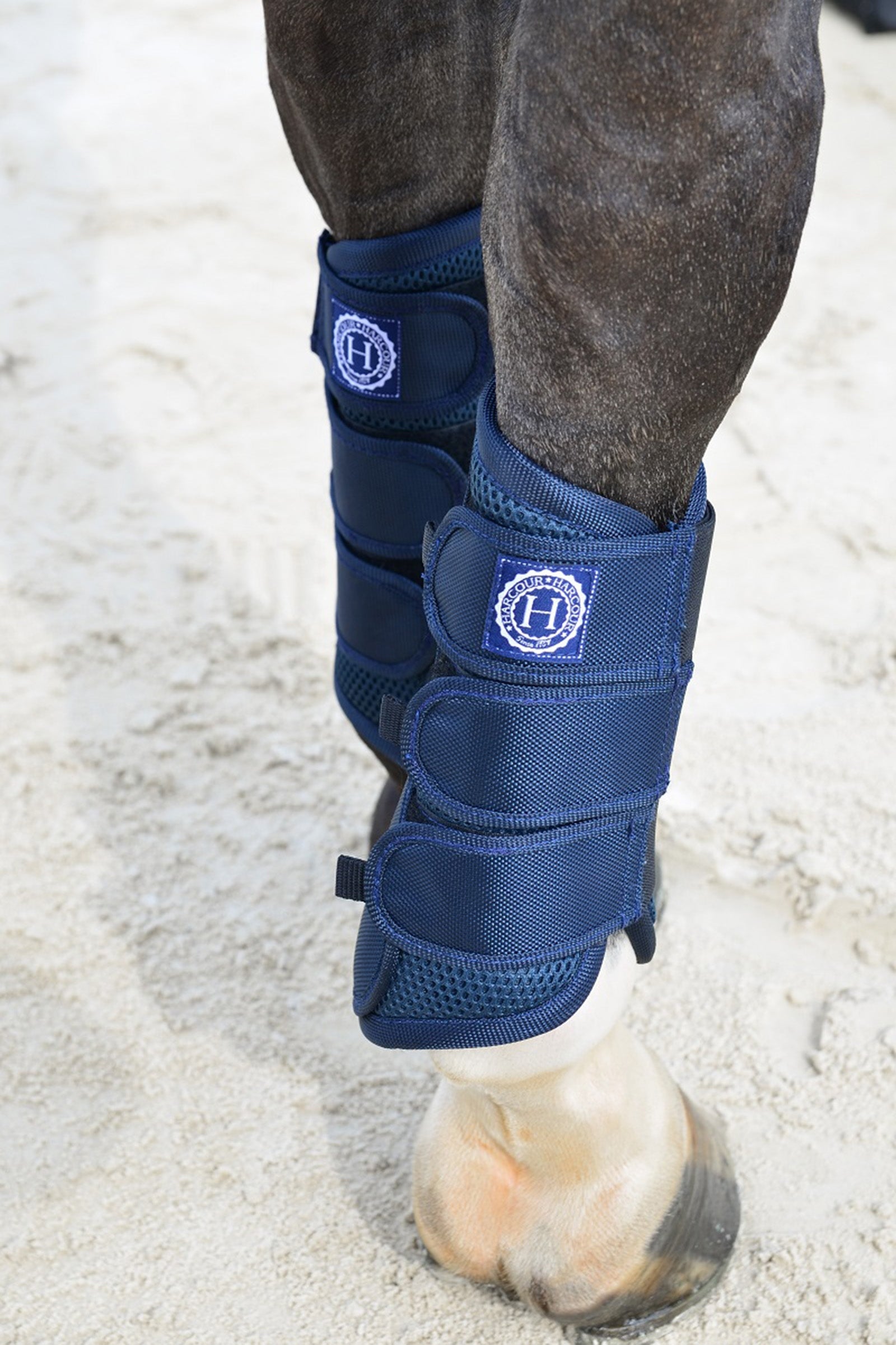 Harcour Cosmic Mesh íncsizma Leg Protection & Hoof Protection for Horses