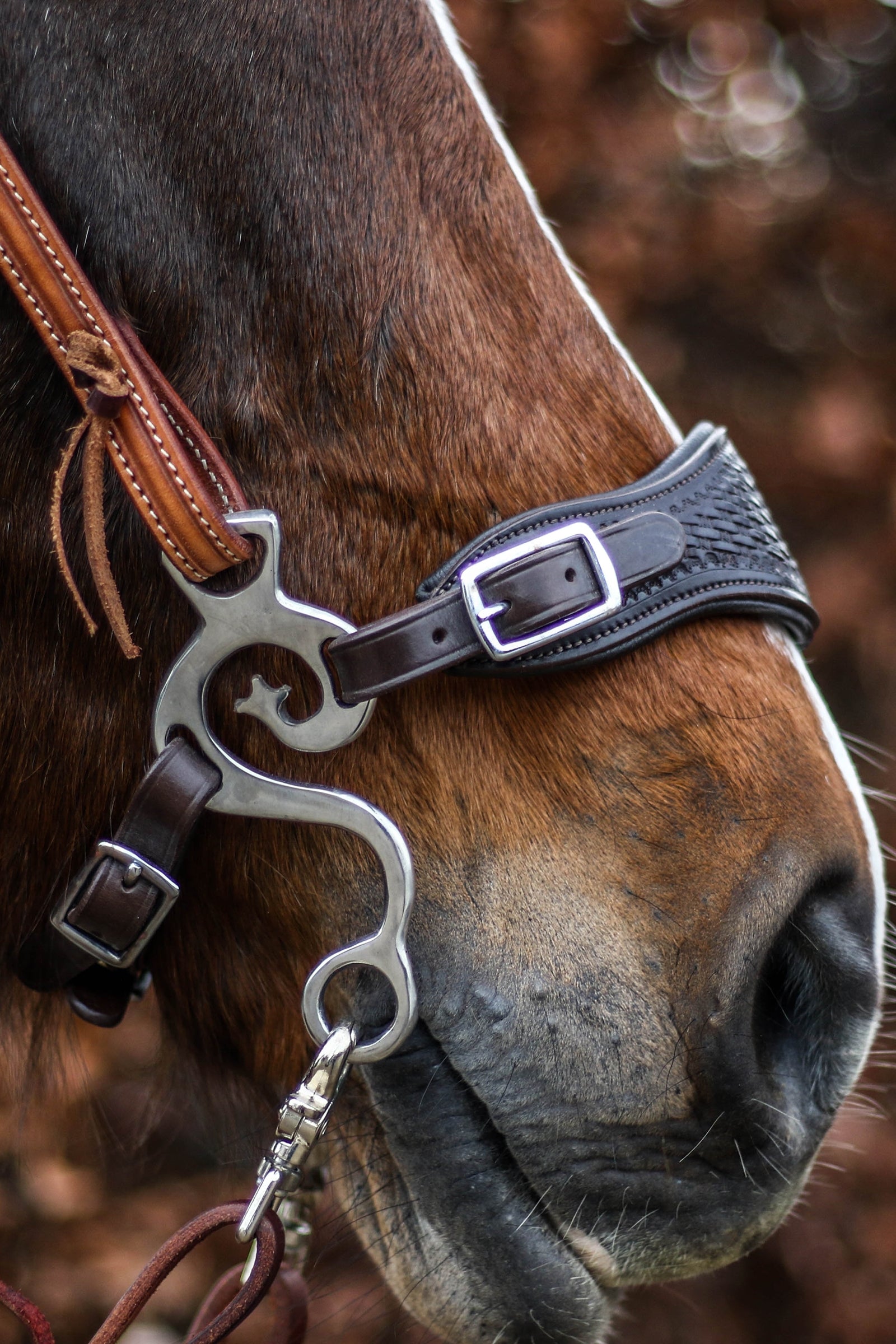 F.R.A. Freedom Riding Articles Fiore Hackamore (System 2) Horse Bits
