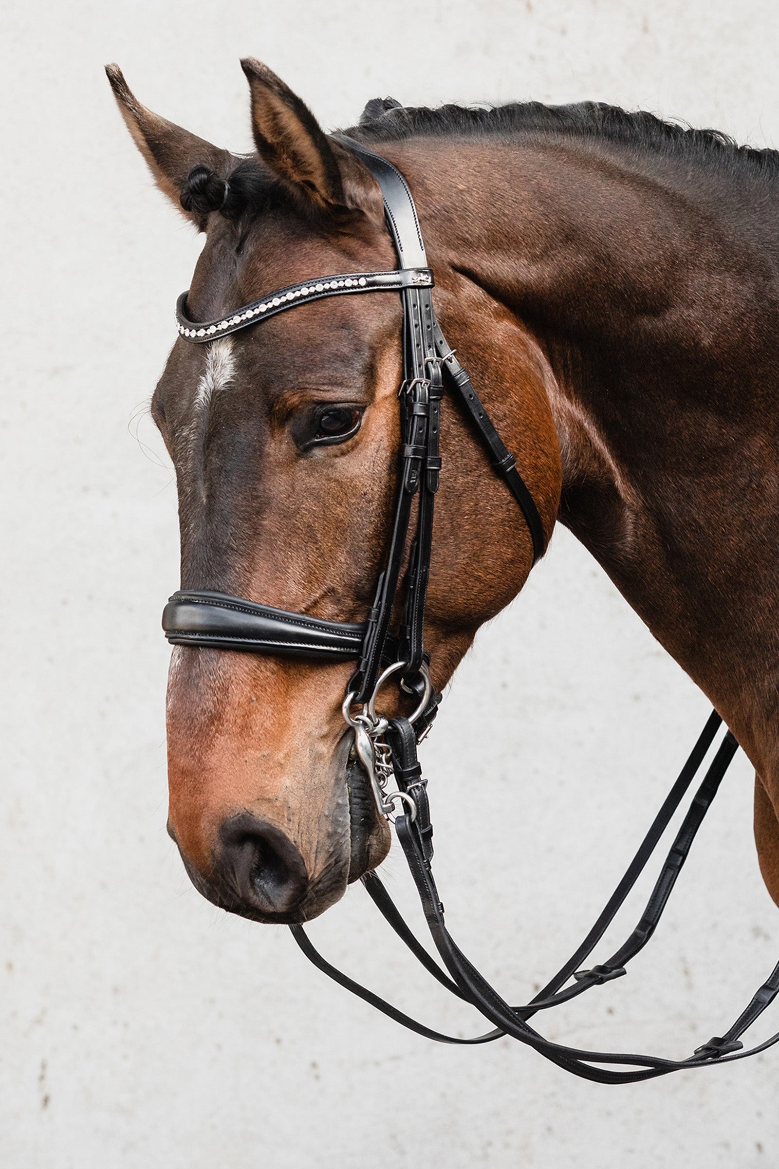 Schockemöhle Sports Milton Anatomic  Double Bridle Bridles & Reins
