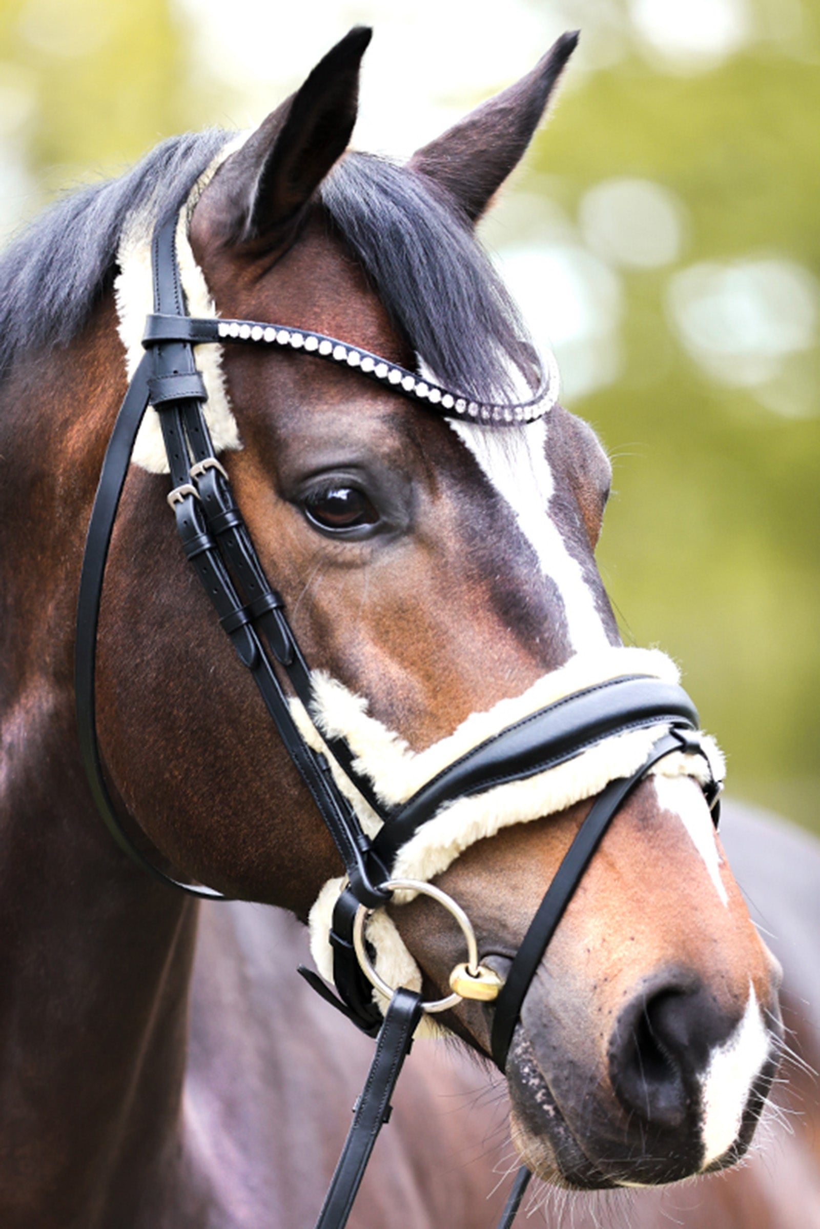 Kavalkade Joyce KavalSH4 Bridle Kantárok & Szárak