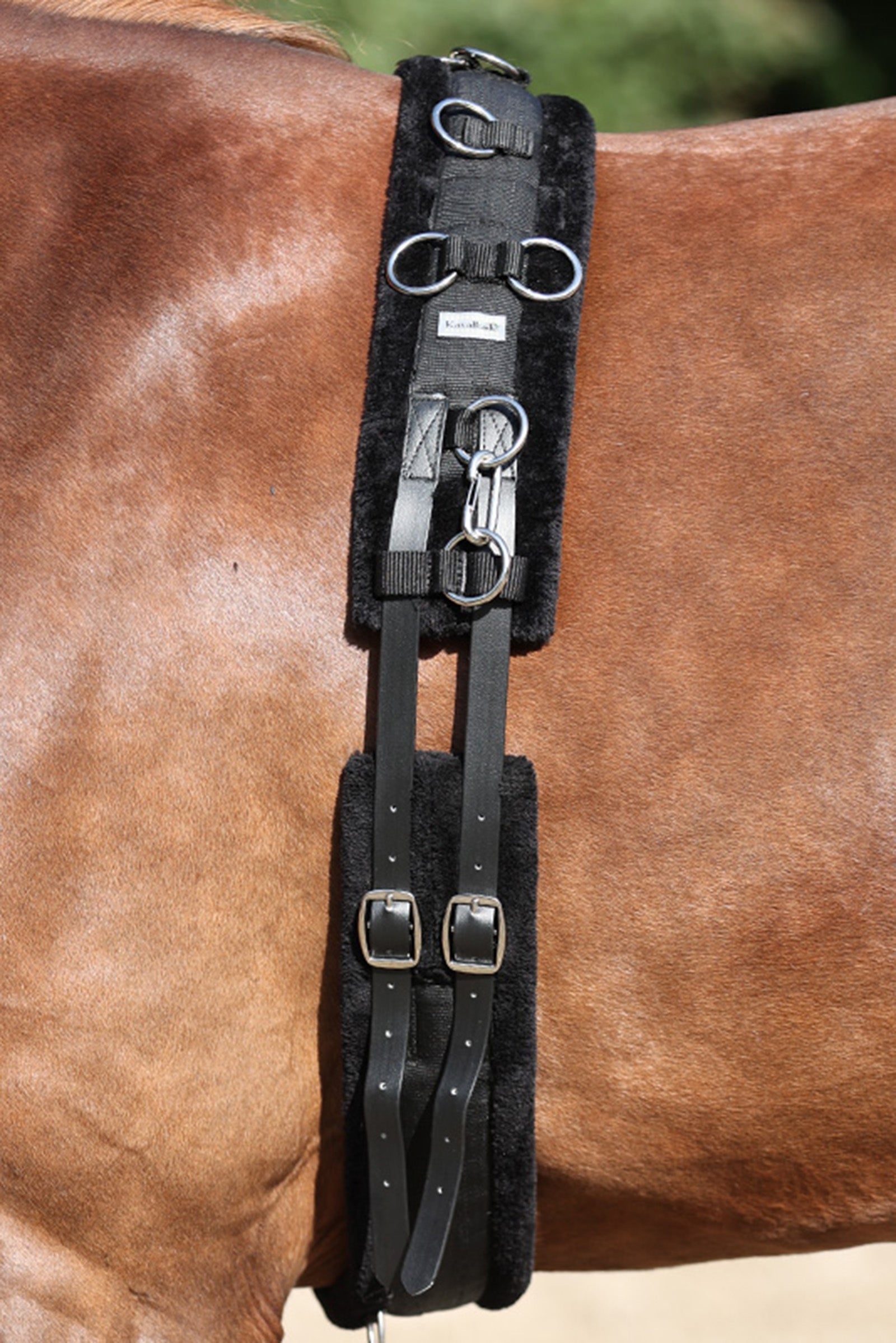 Alt Tag fallback text for IMAGE