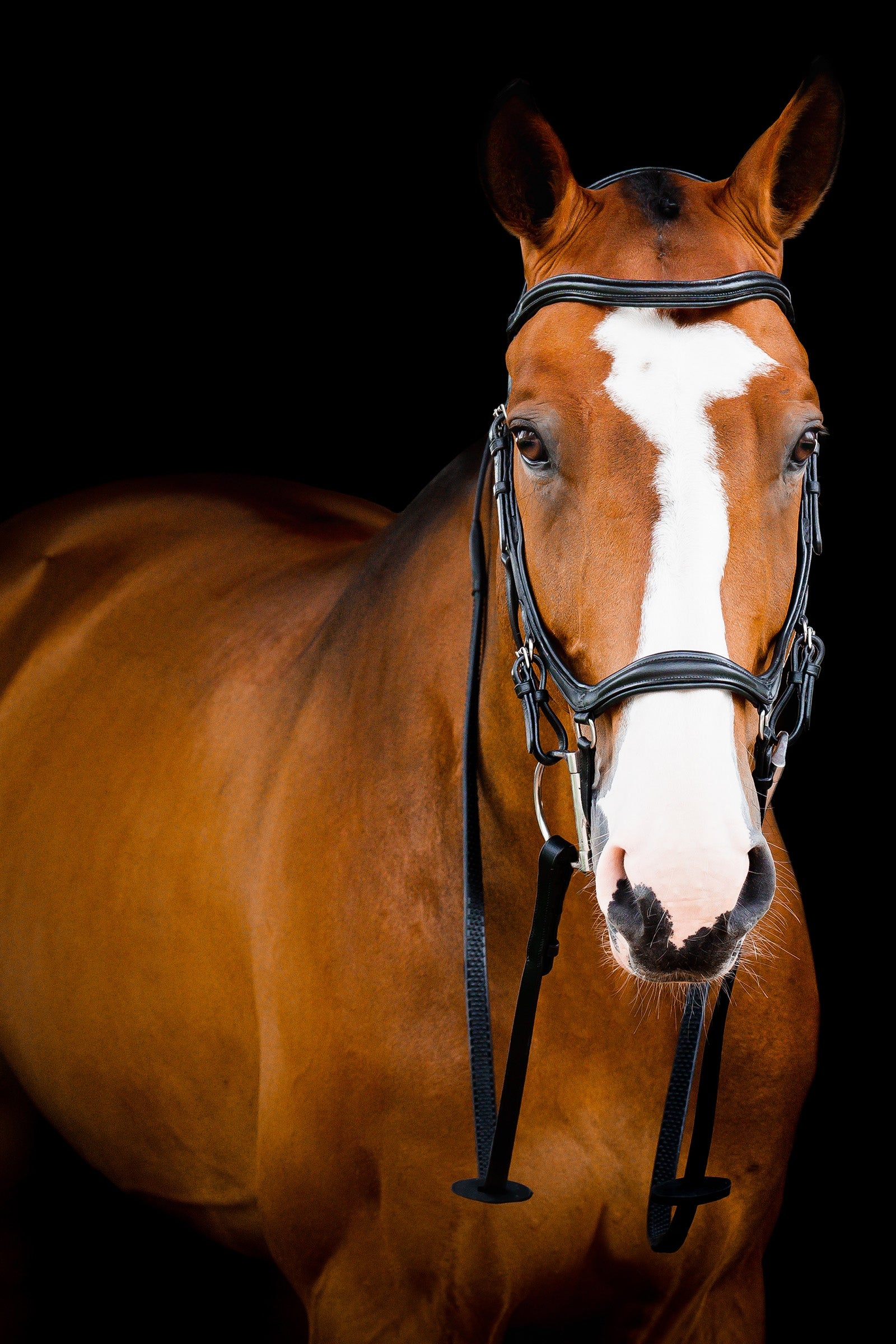 Horseware Micklem 2 Deluxe Competition Kantár Kantárok & Szárak