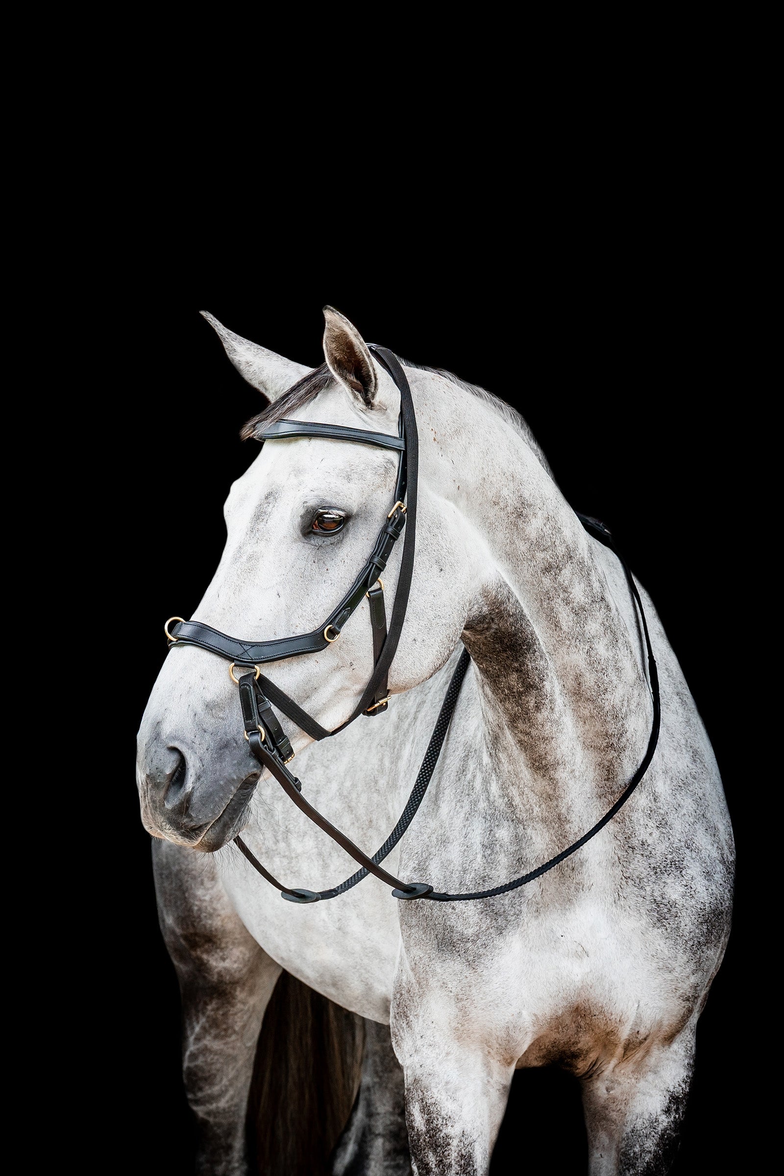 Horseware Micklem 2 Multi Kantár Kantárok & Szárak