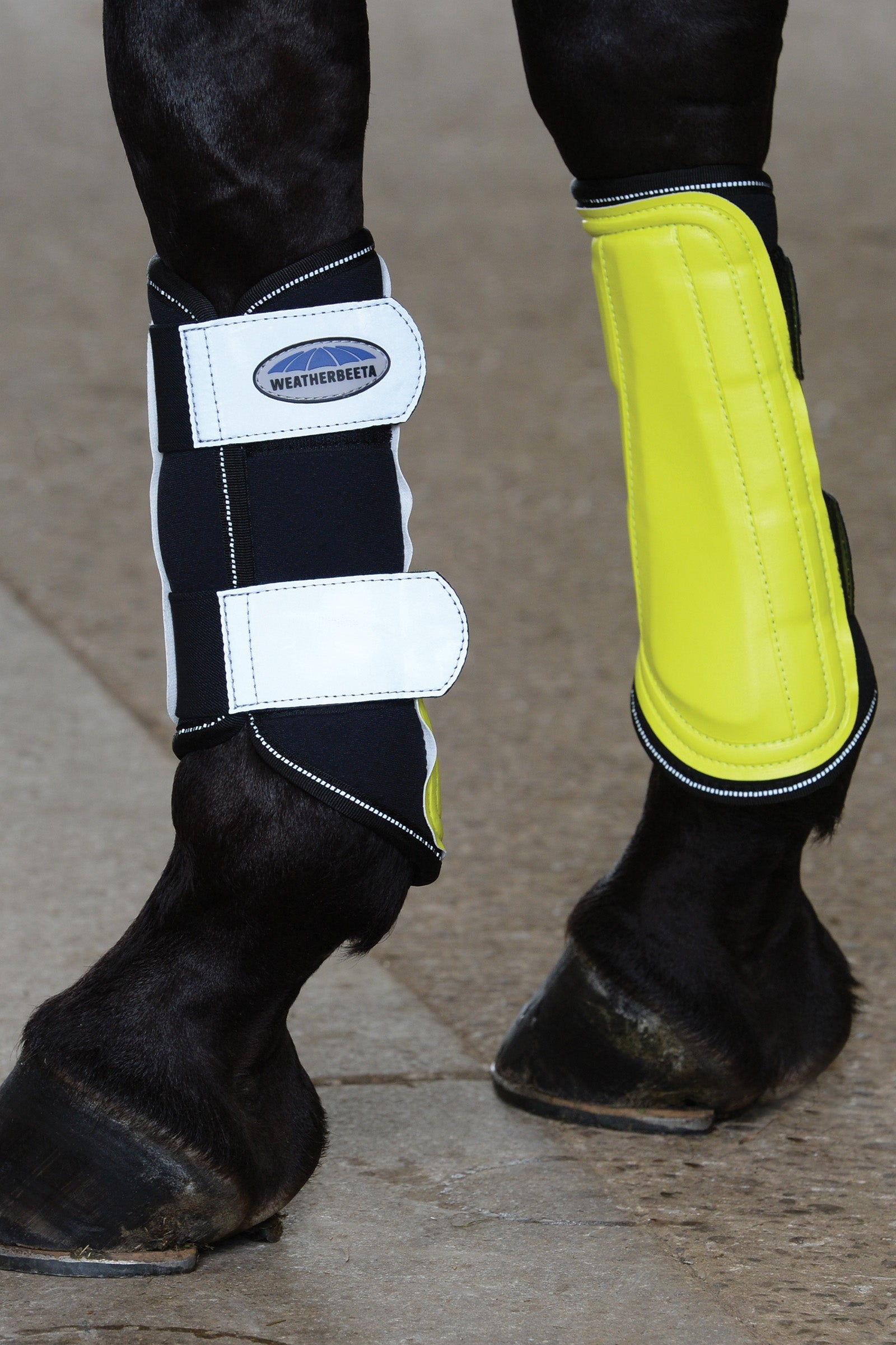 Weatherbeeta fényvisszaverő, tépőzáras ínvédő Leg Protection & Hoof Protection for Horses