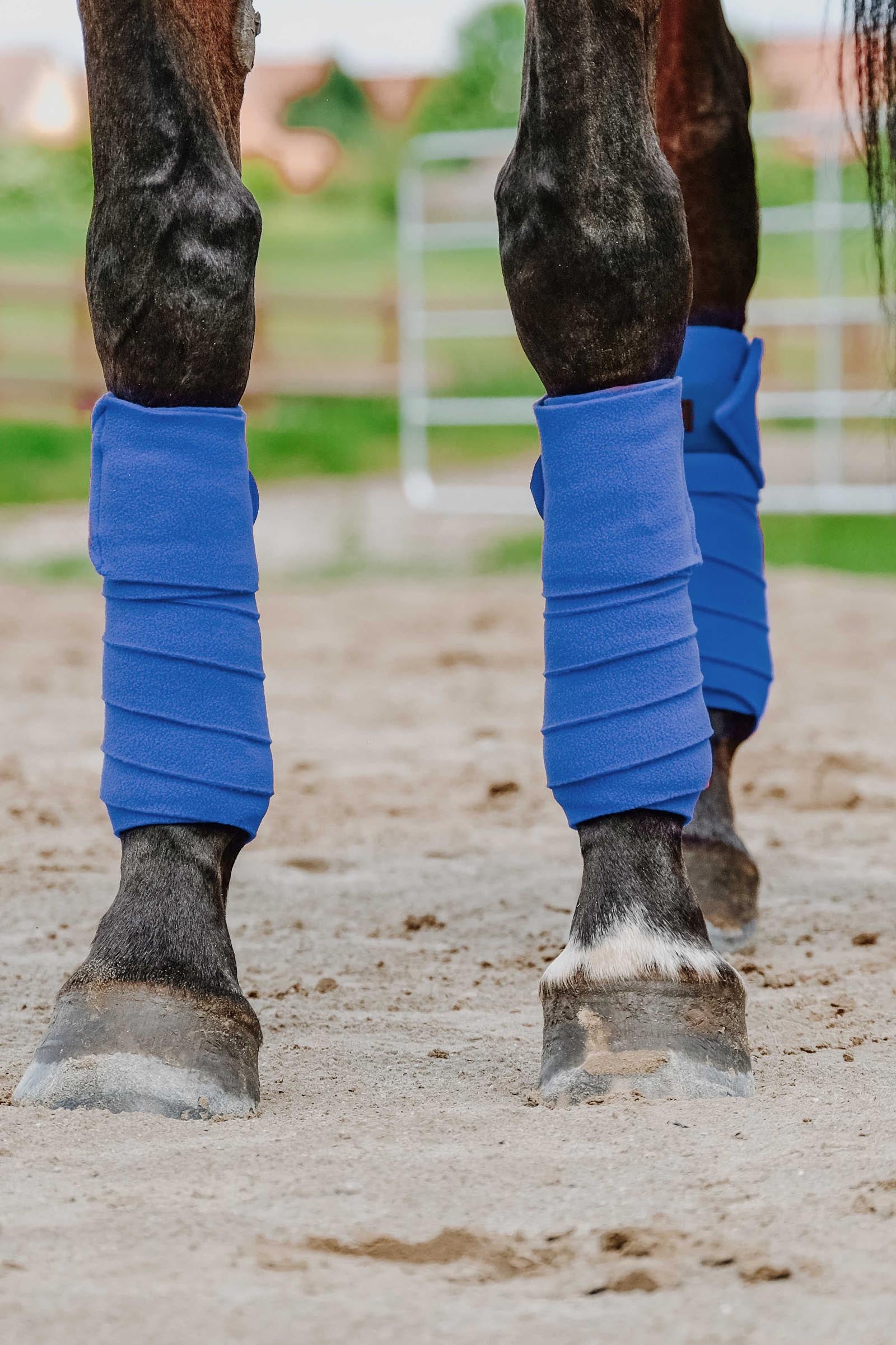 EQUITHÈME Polo Bands (3,0 m) Leg & Hoof Protection