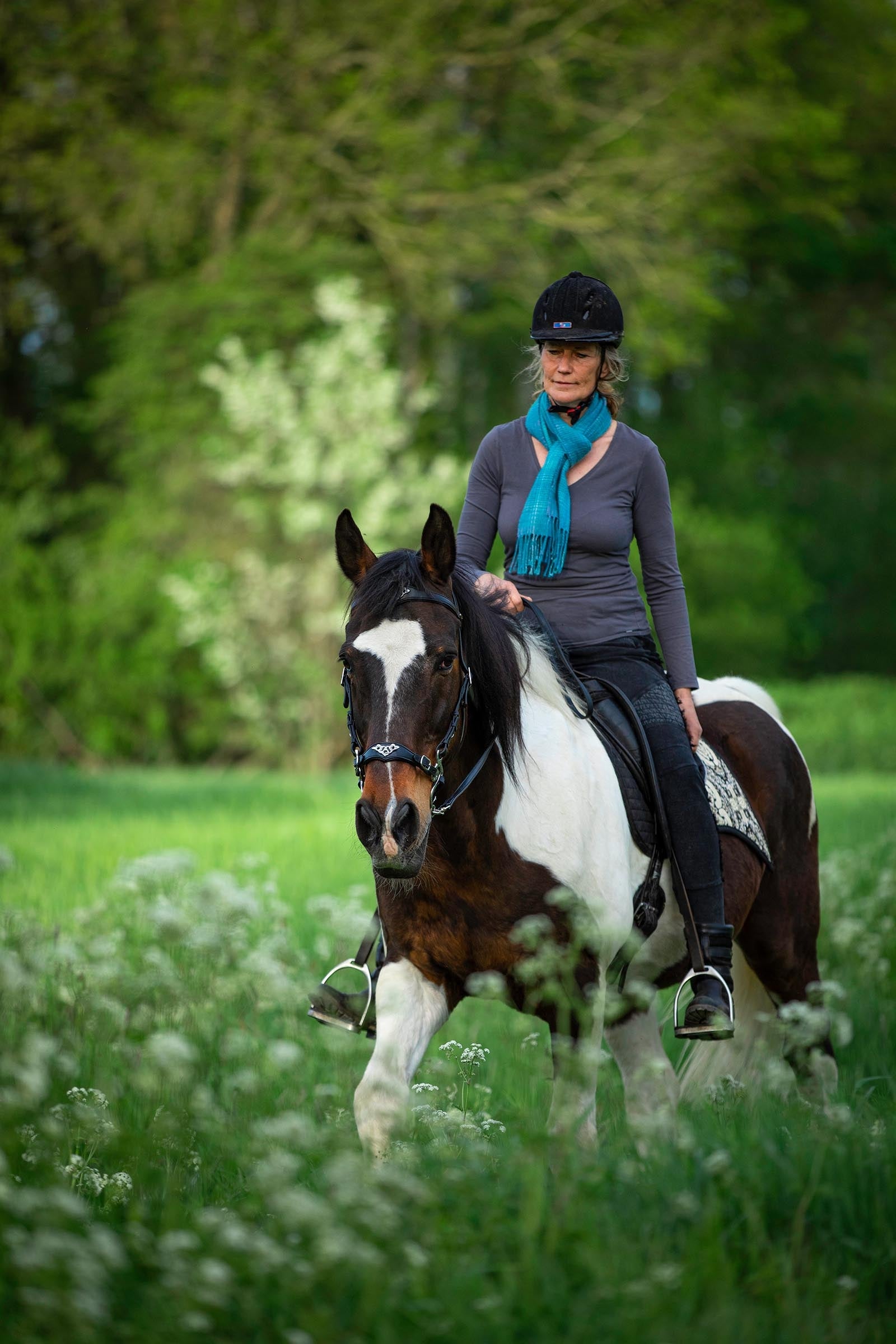 F.R.A. Freedom Riding Articles Imperial Hackamore Bridle With Reins (System 2) Bridles & Reins