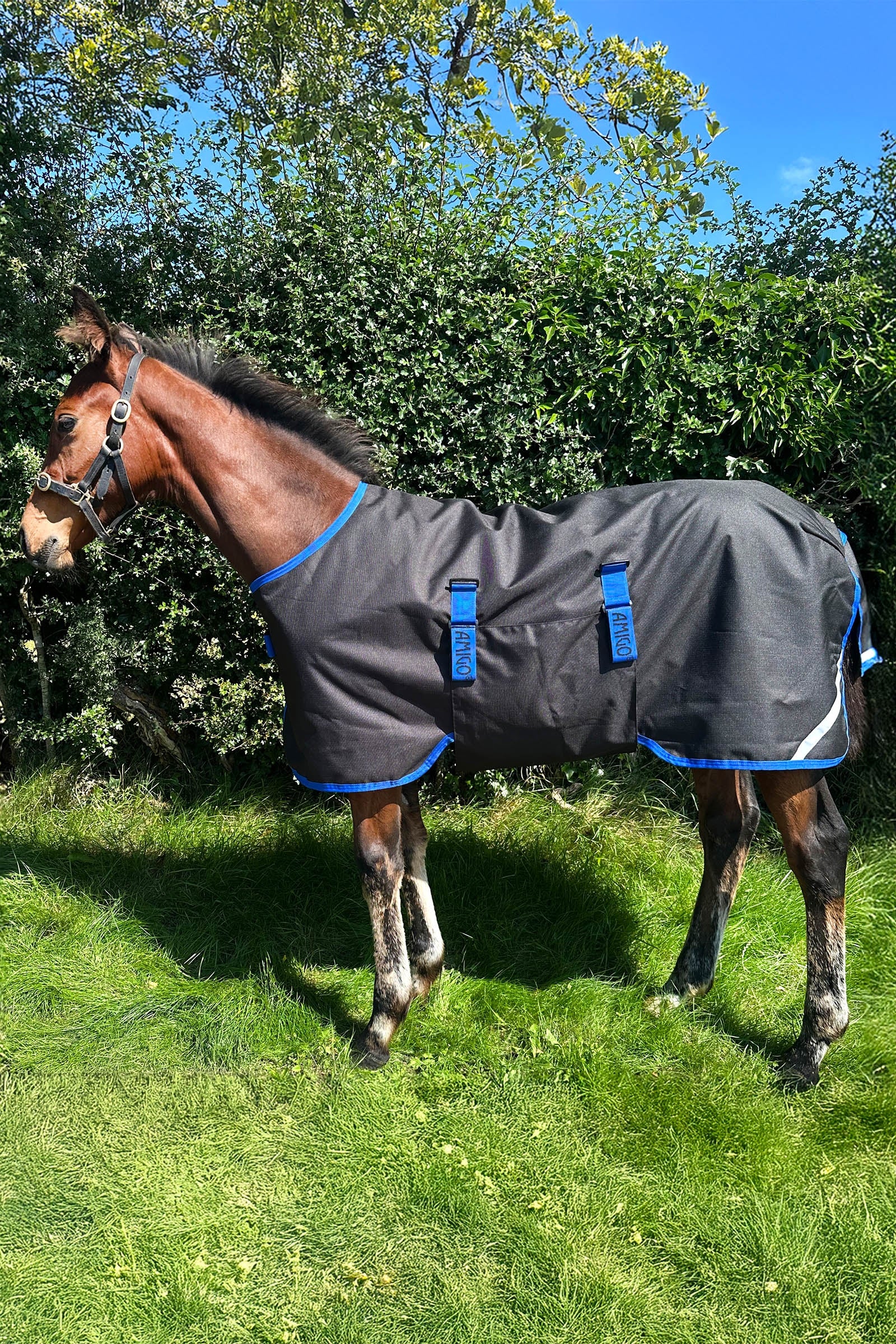 Horseware Amigo Ripstop 900D kültéri takaró csikóknak 50g Lótakarók