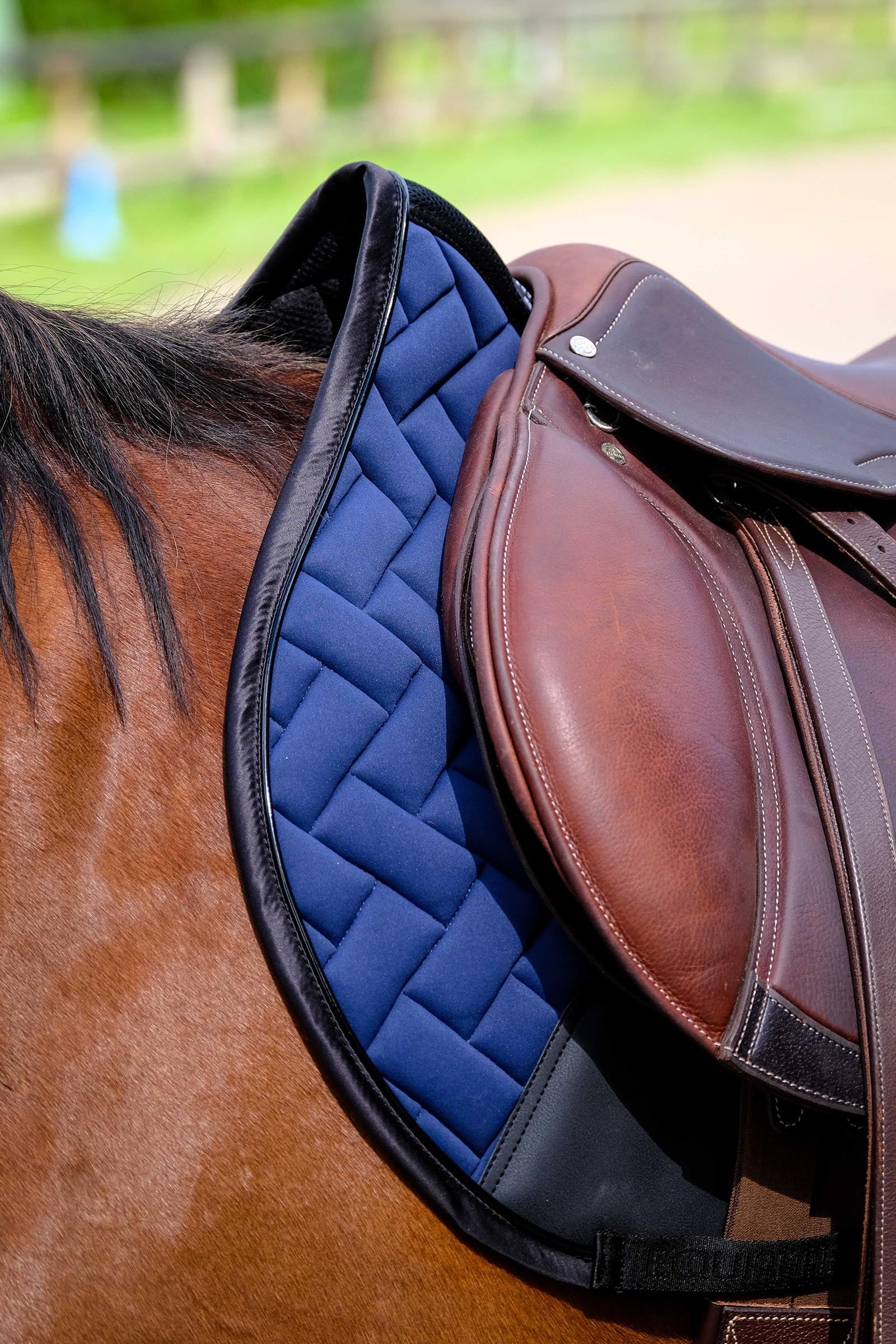 EQUITHÈME Impulsion Saddle Pad Saddle Pads