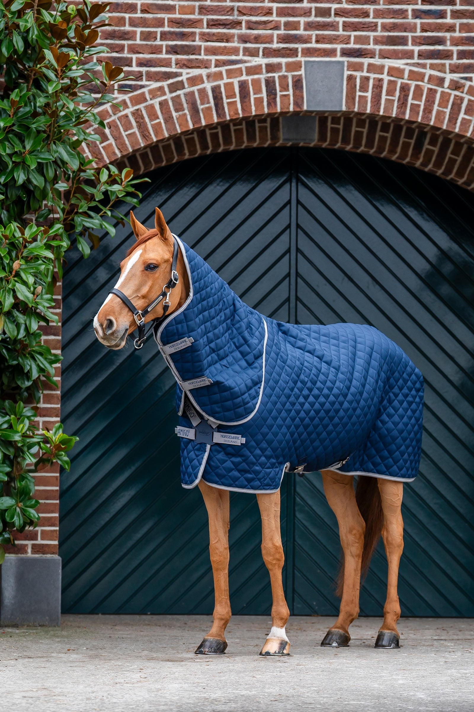 Horseware Amigo steppelt istállótakaró Plus, 200 g Lótakarók