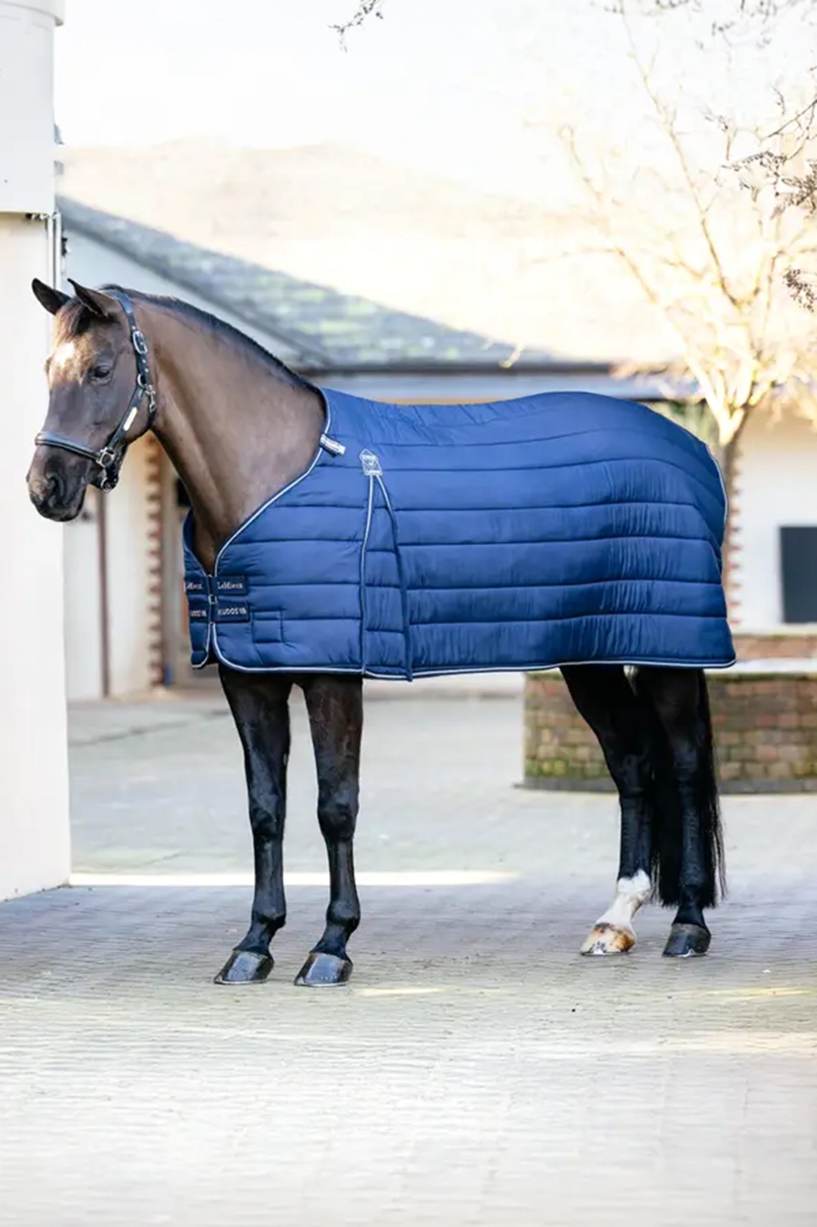 LeMieux Kudos Rug Liner, 350 g Horse Rugs
