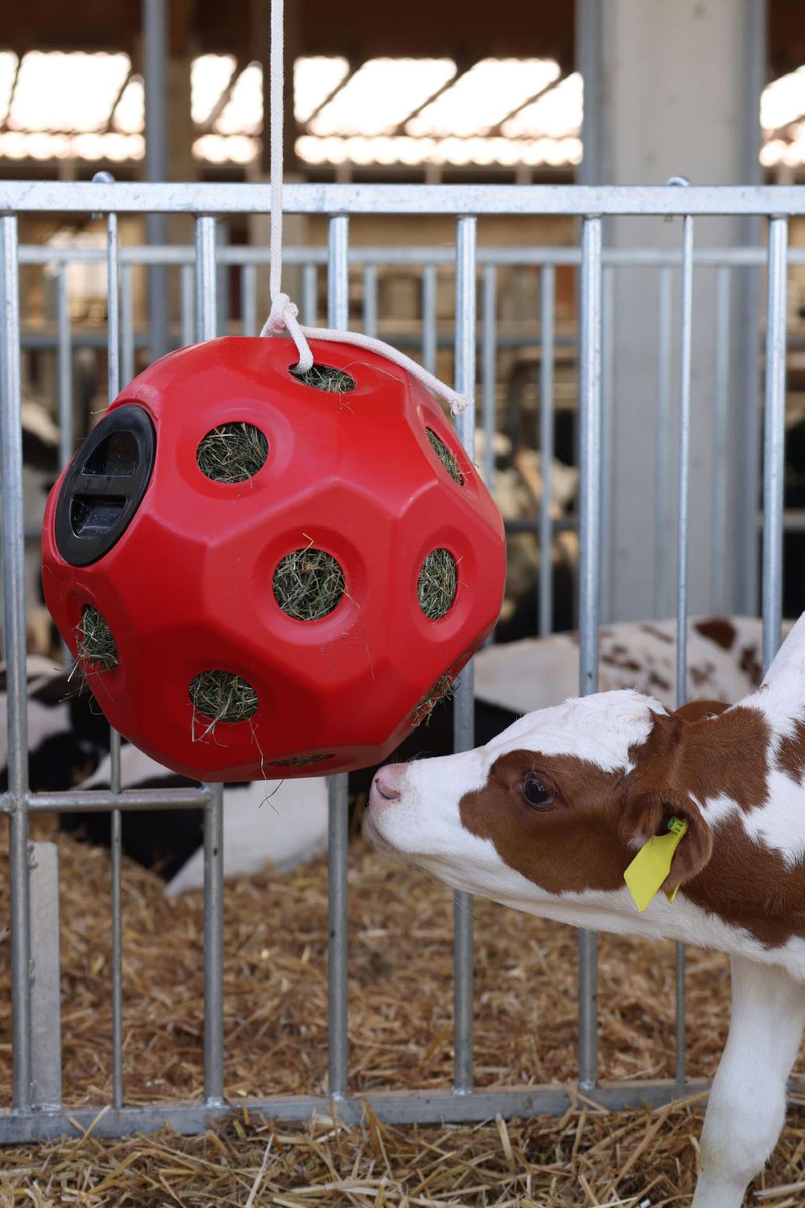 Kerbl Feed Play Ball (For 3kg Hay) Horse Feeders & Waterers